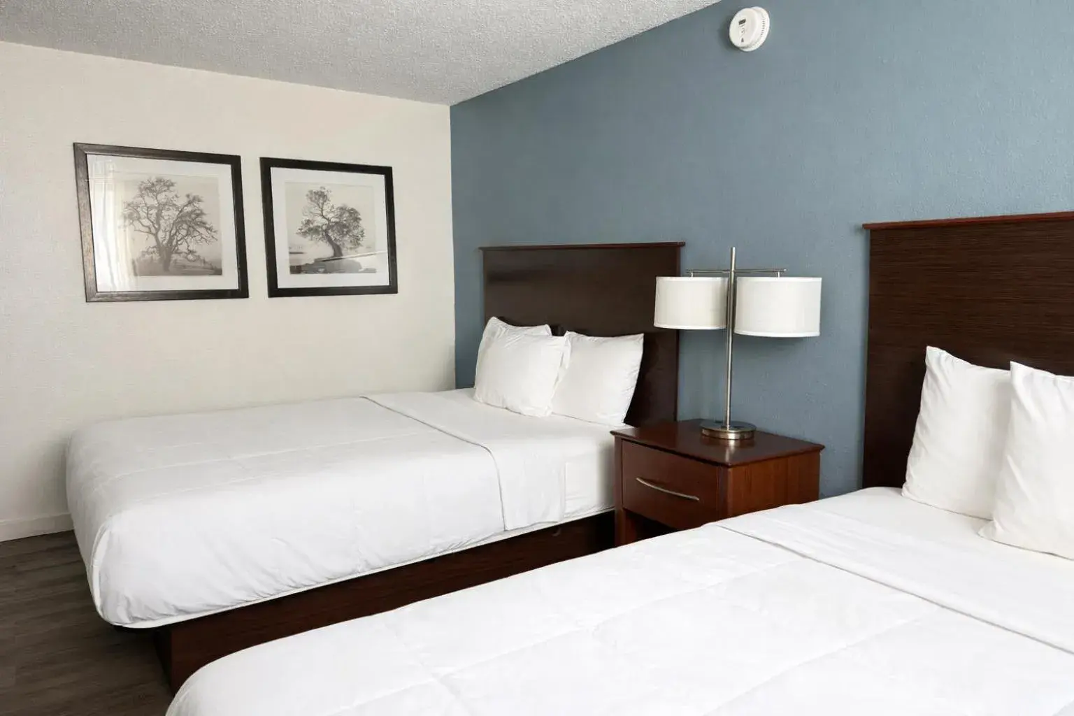 Bed in Hotel 8 Bed in Hotel 8