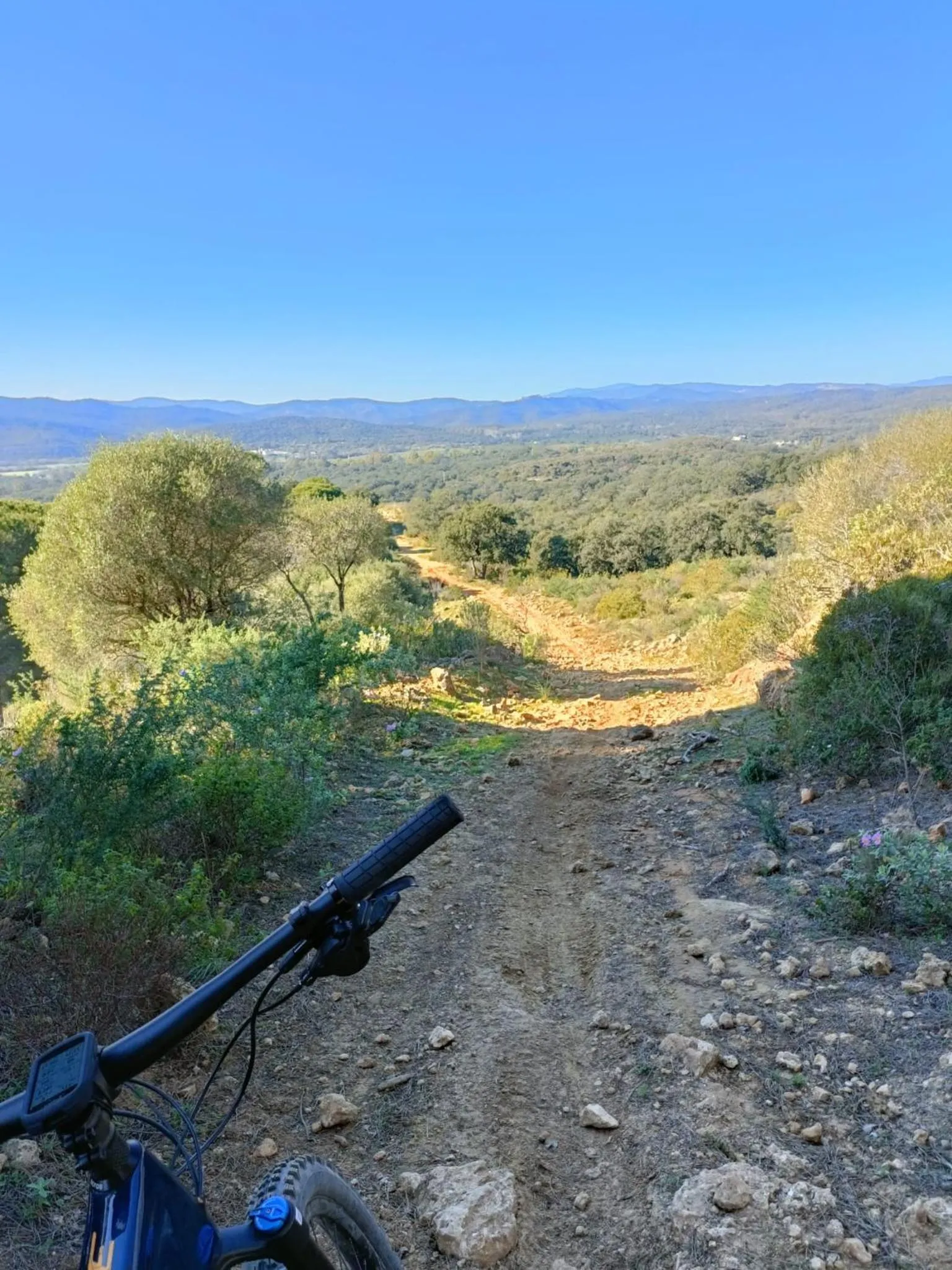 Cycling in Hacienda El Alcornocal