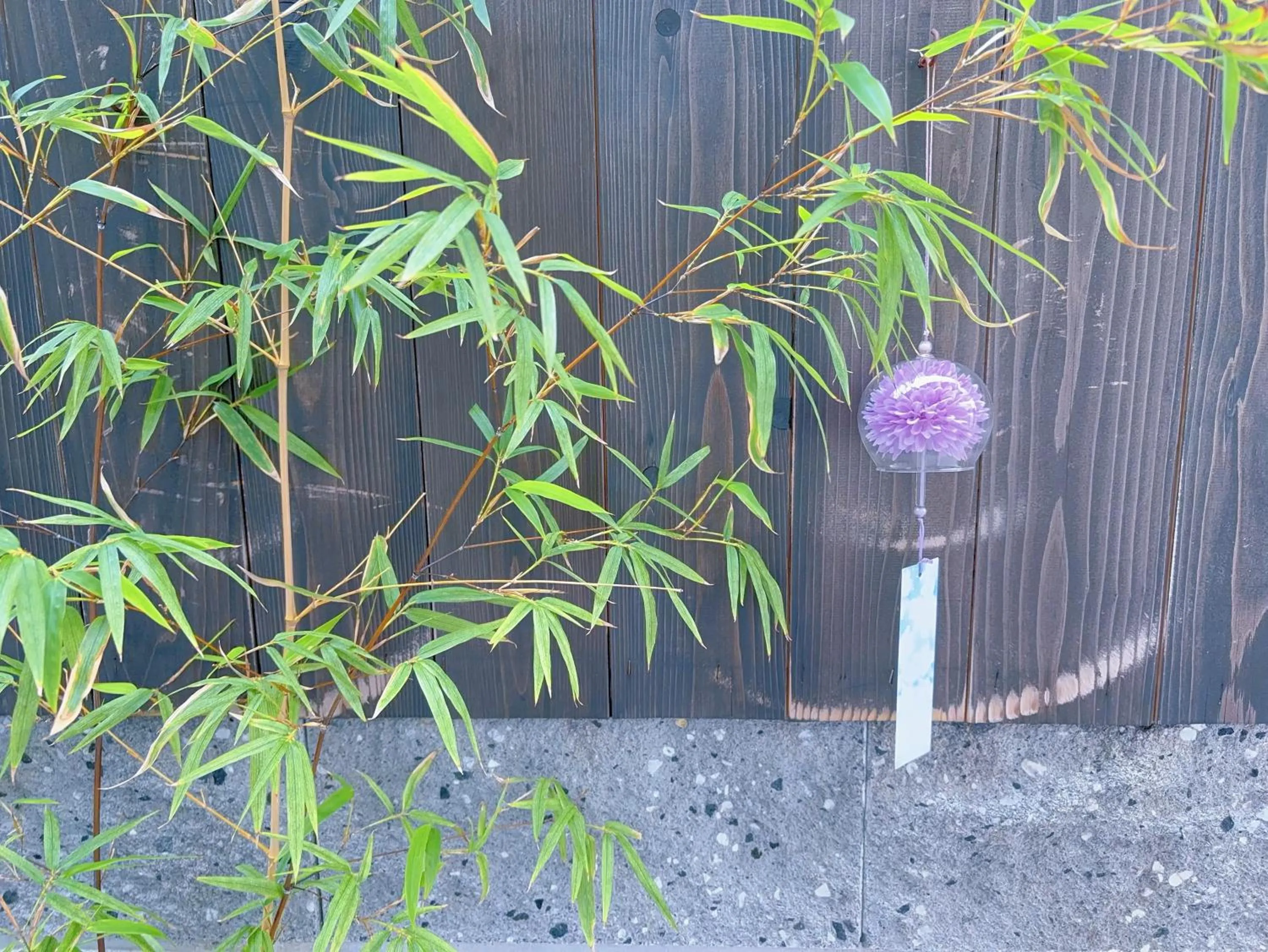 Garden in 桃夭庵 touyouan momo house kujo 一棟貸切