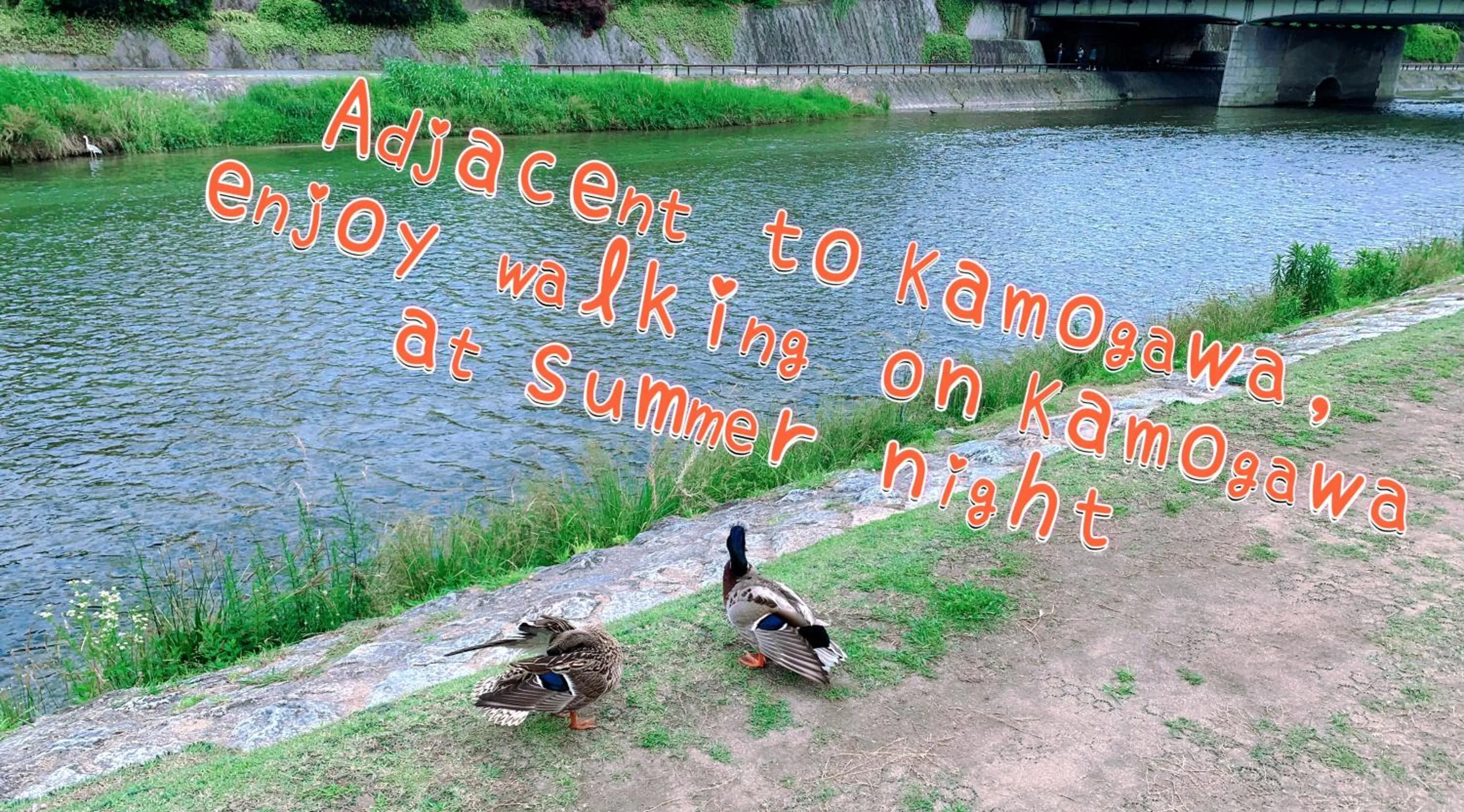 Natural landscape in 桃夭庵 touyouan momo house kujo 一棟貸切