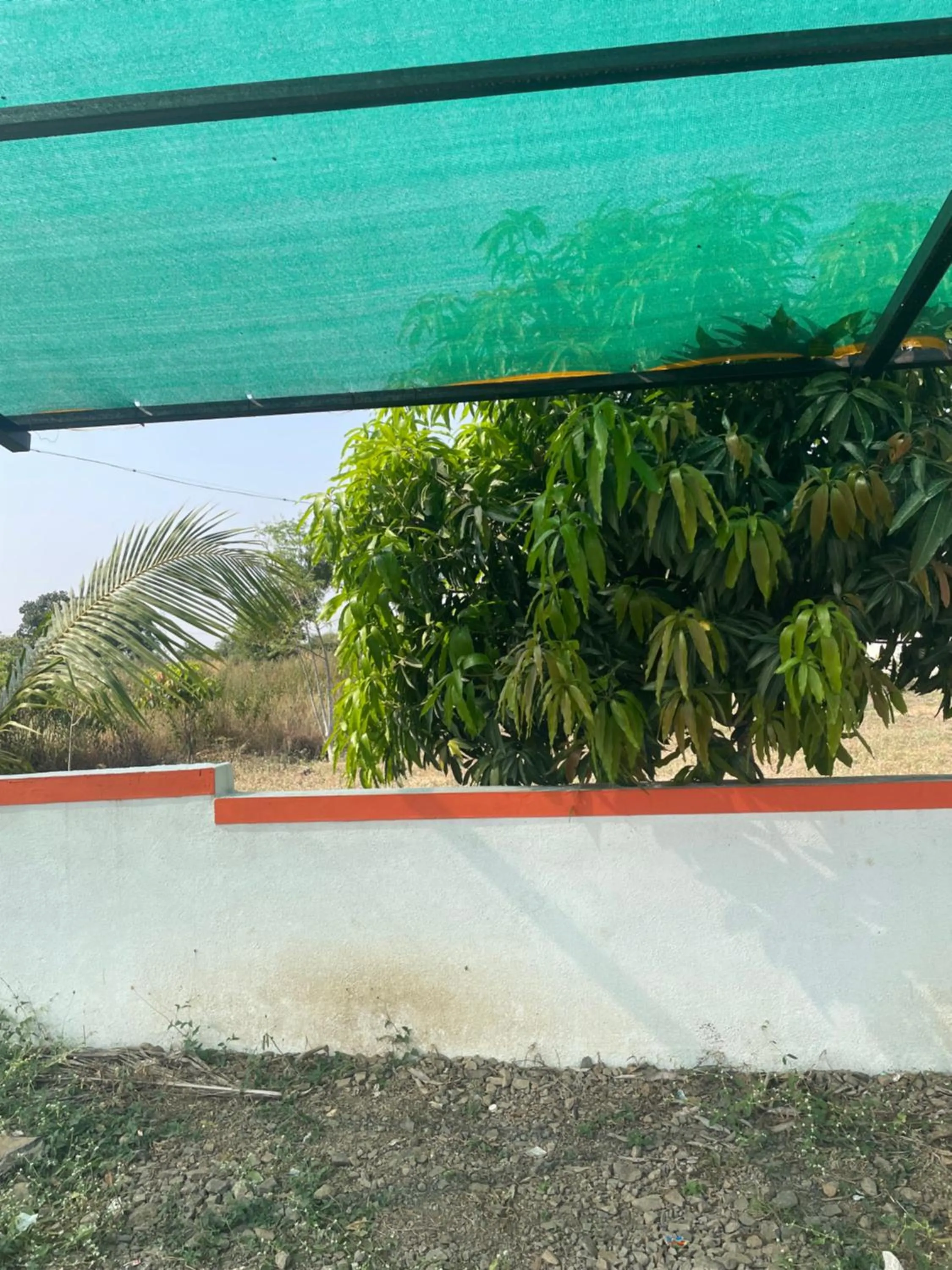 Restaurant/places to eat in Mango Mist Farm Stay