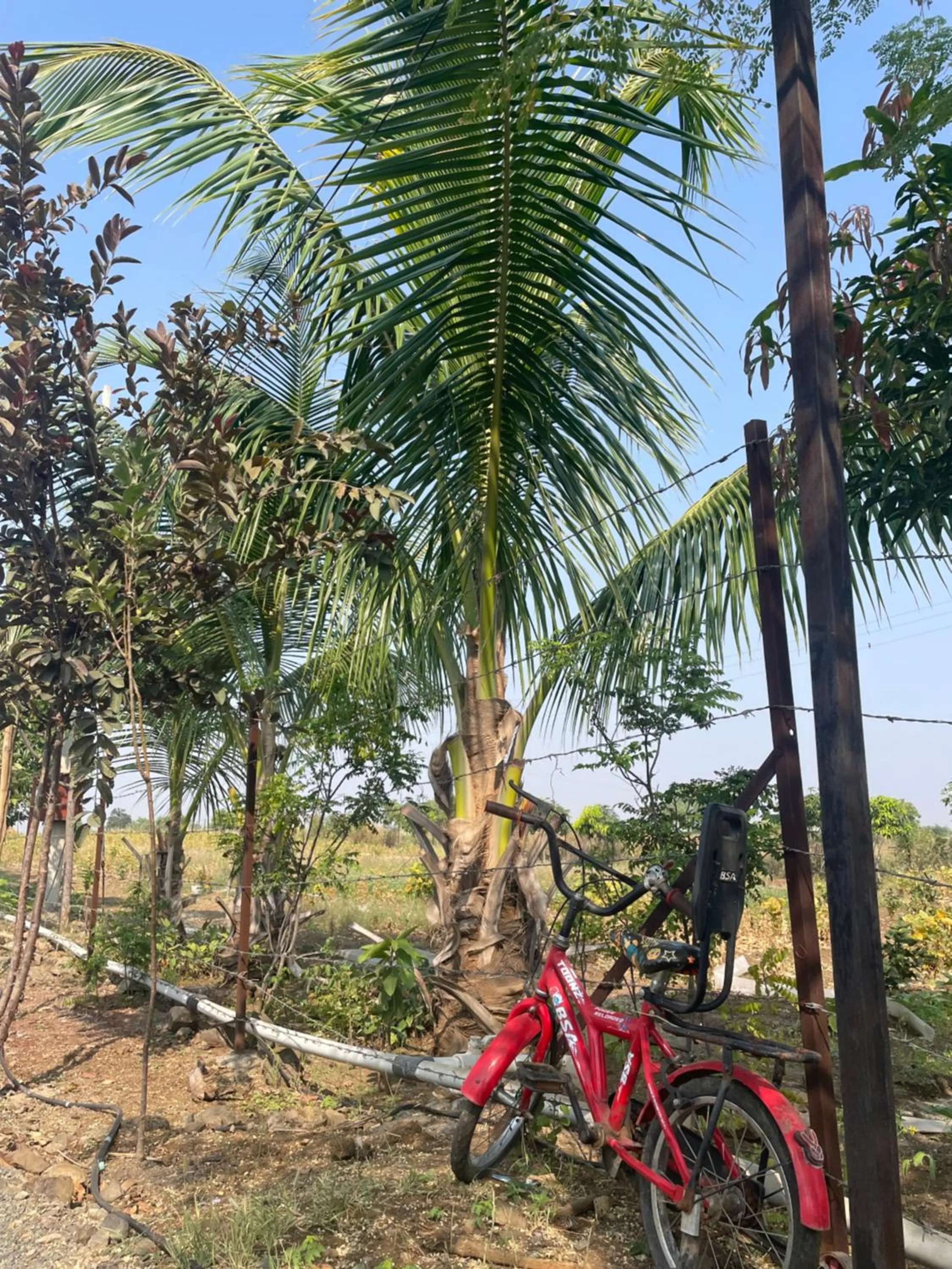 Cycling in Mango Mist Farm Stay