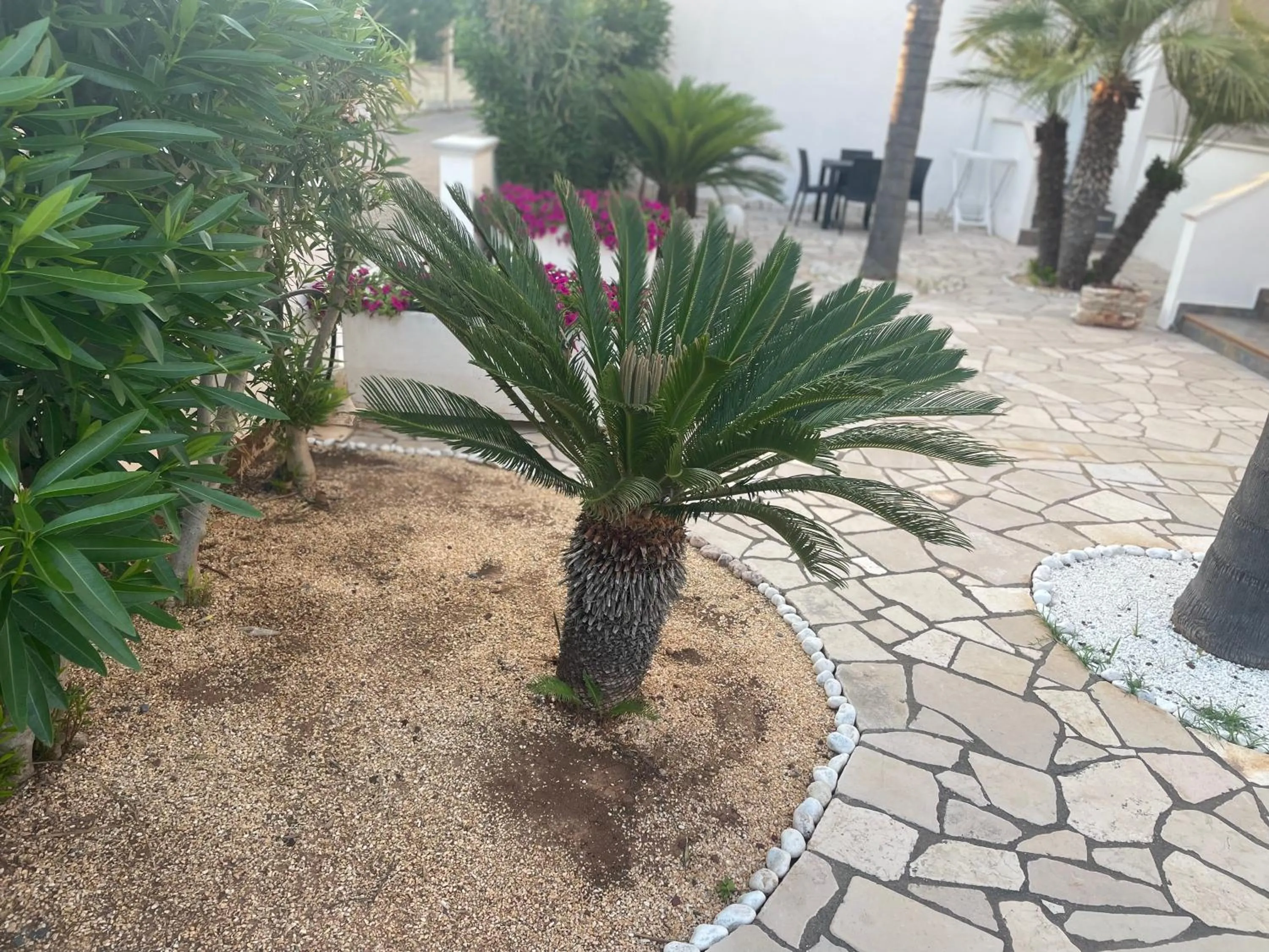 Spring in Bed and breakfast KALE '