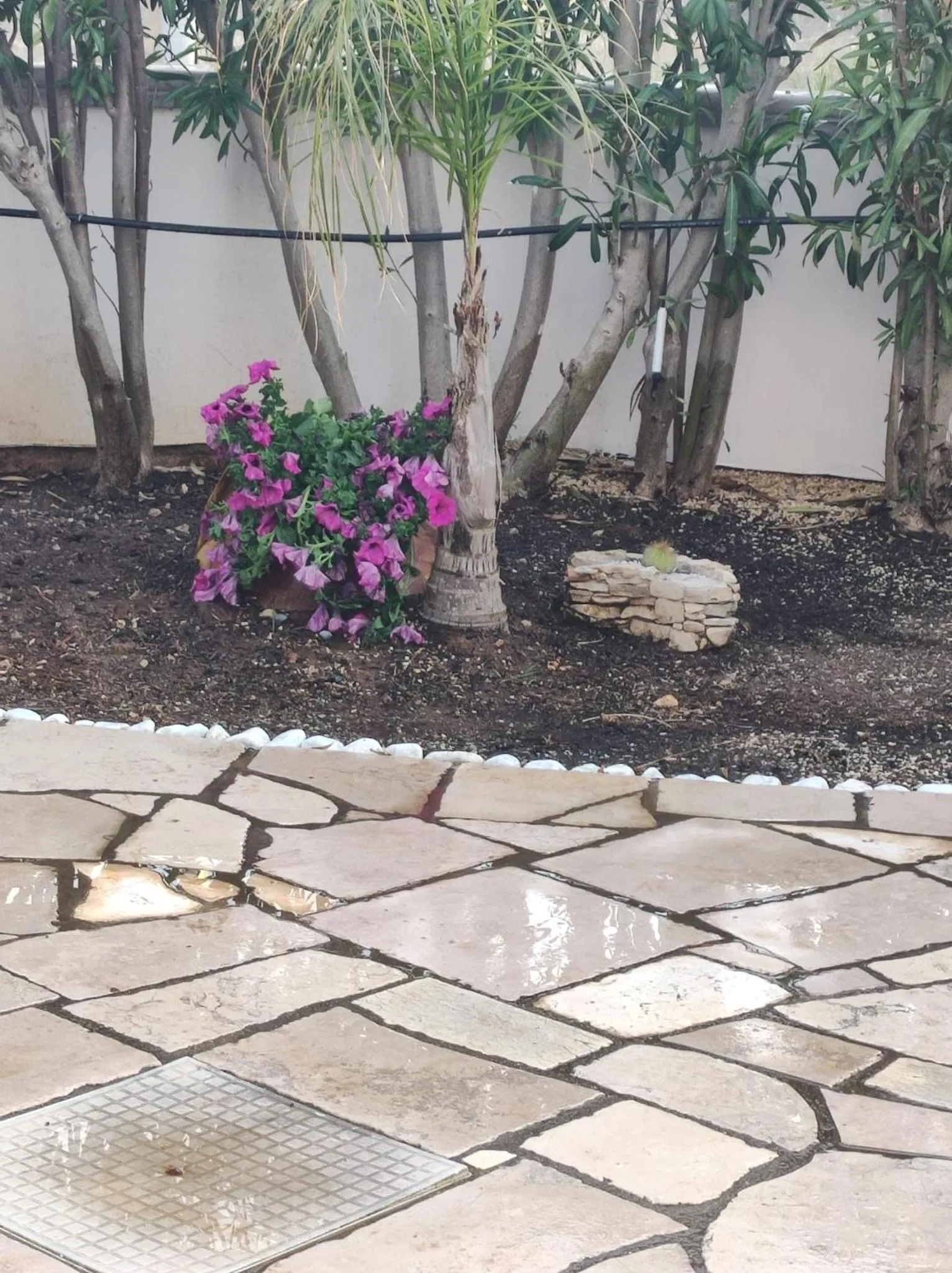 Spring, Garden in Bed and breakfast KALE '