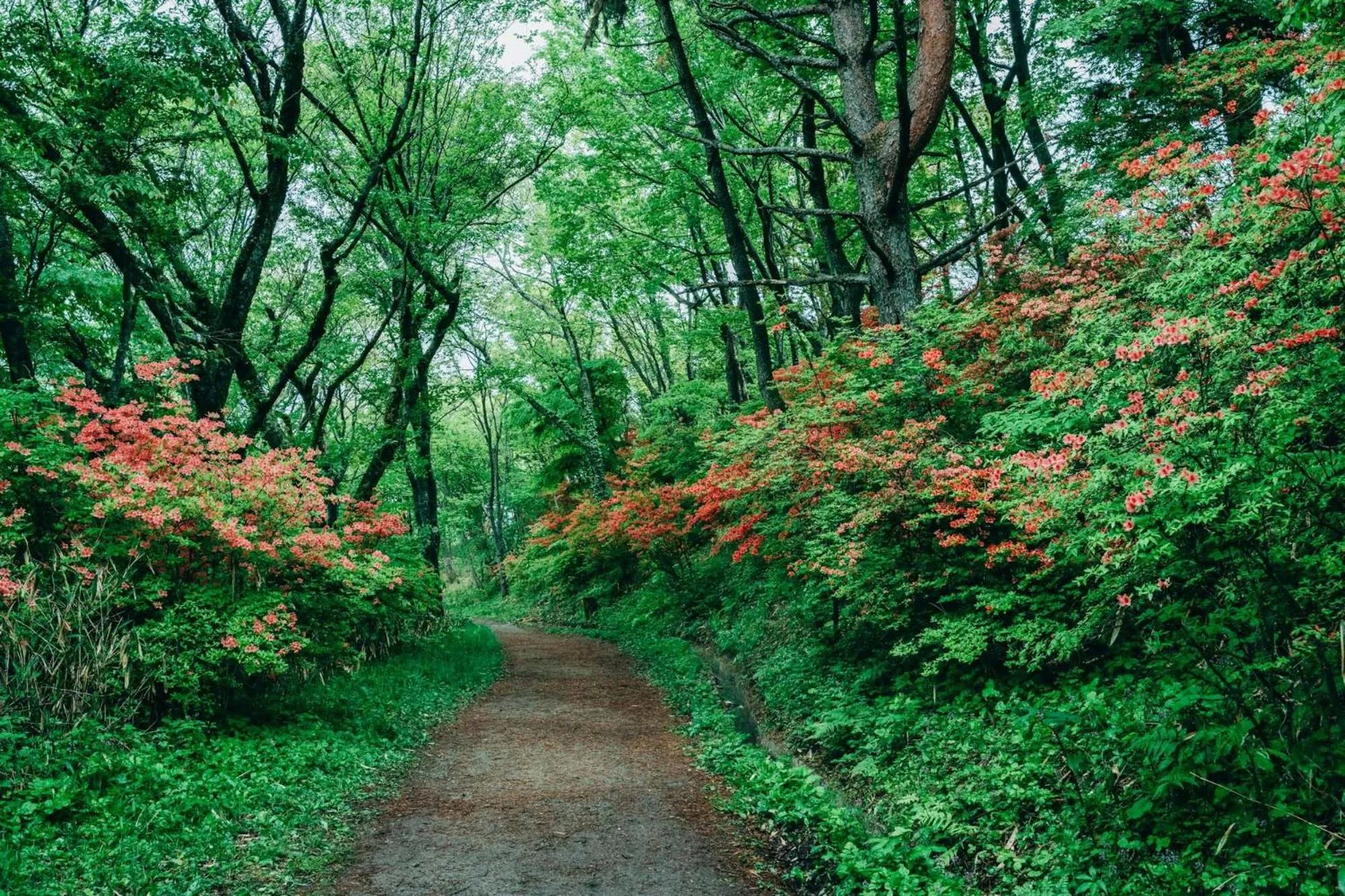 Nearby landmark in Yado Charinko