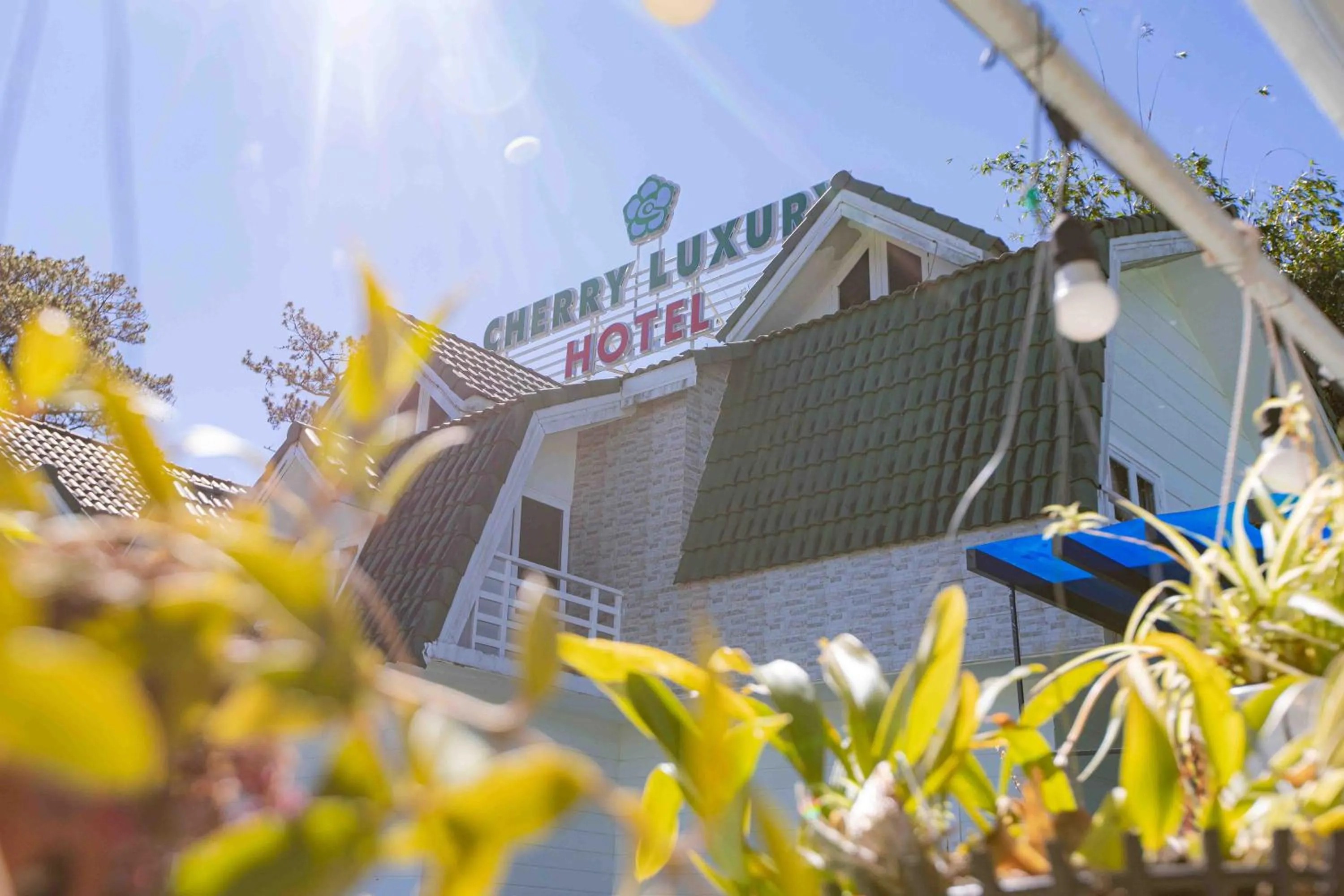 Property building in Cherry Luxury Hotel