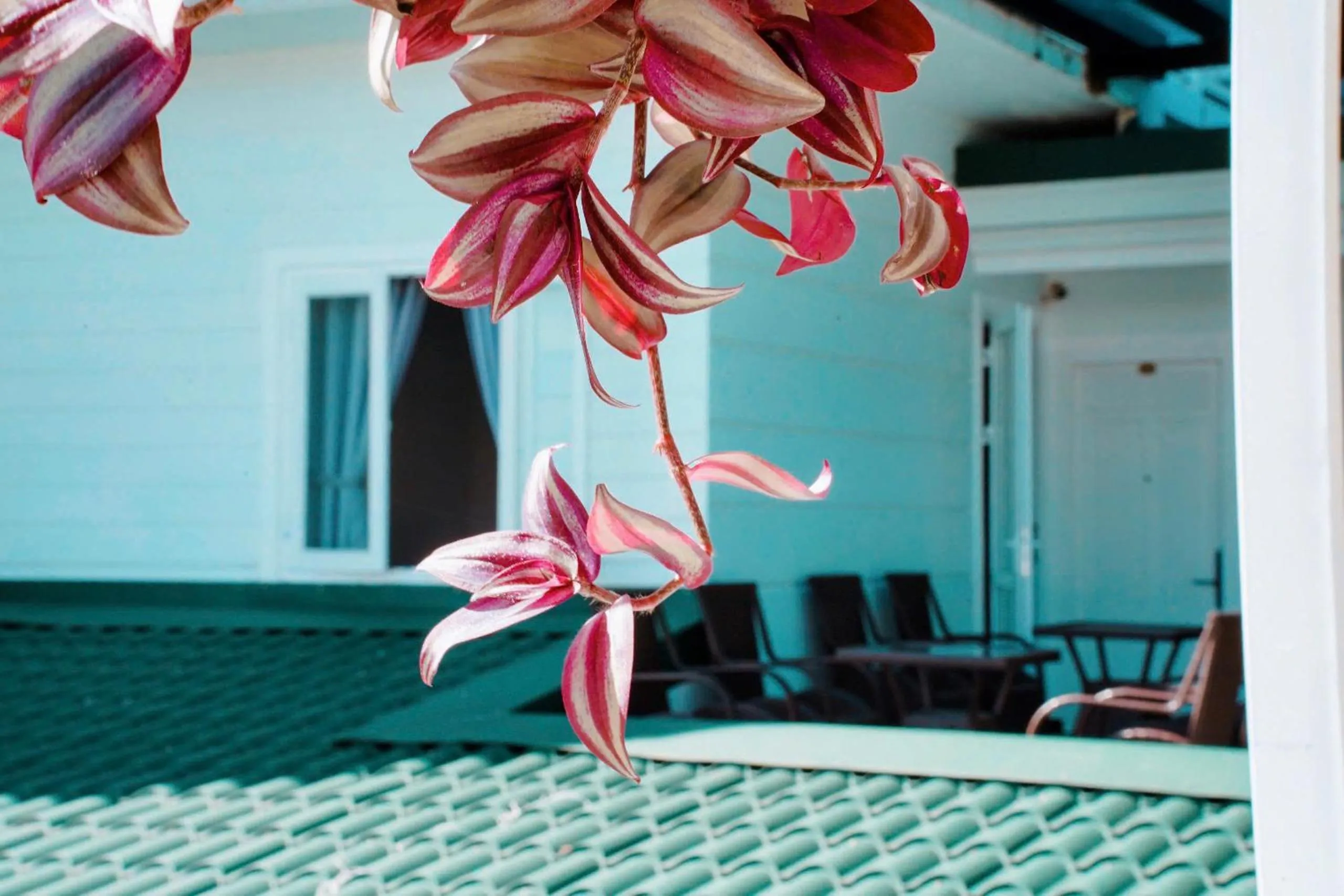 Decorative detail in Cherry Luxury Hotel