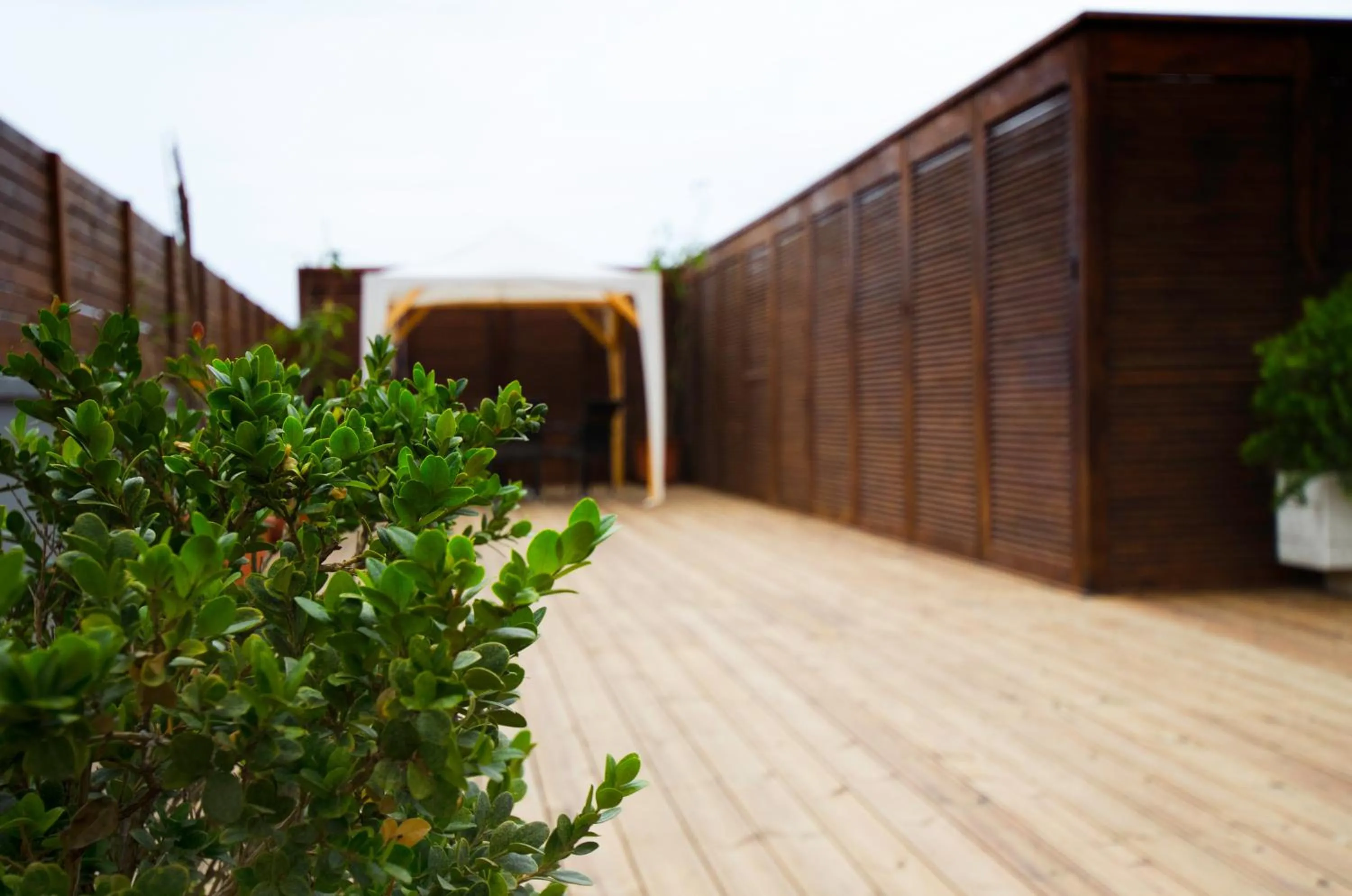 Facade/entrance in Lydia Hotel