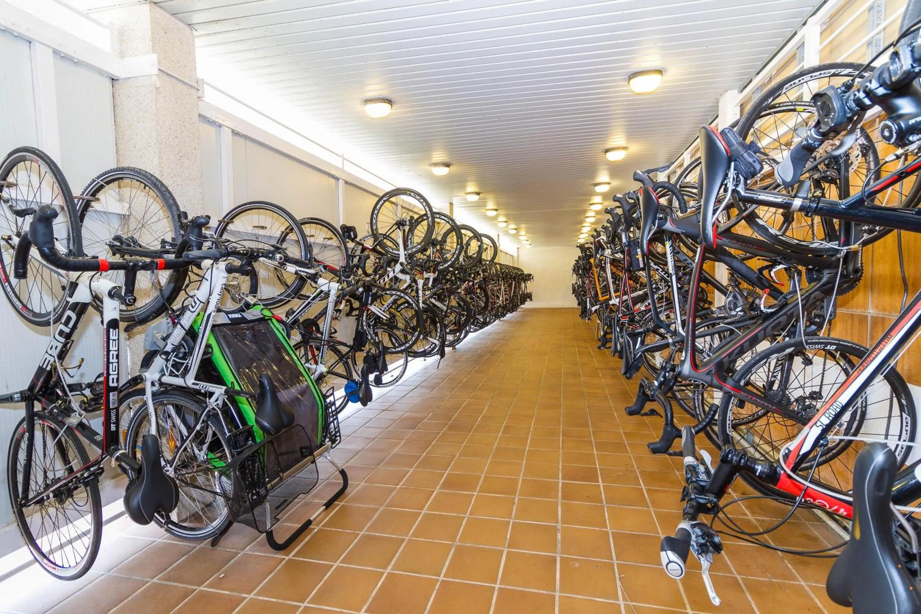 Activities in Eix Platja Daurada Hotel & SPA