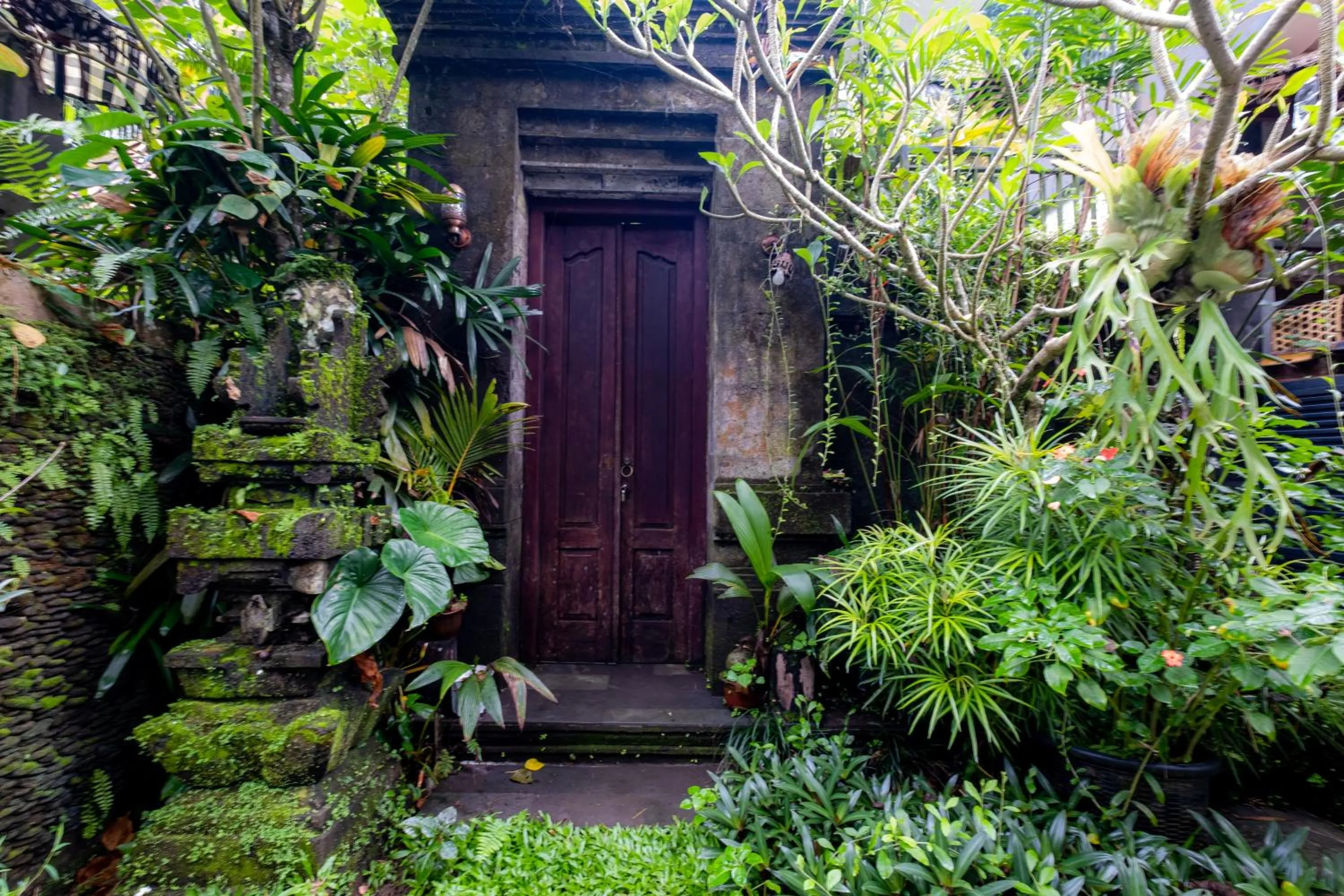 Day in Villa Kubu Arya by Supala