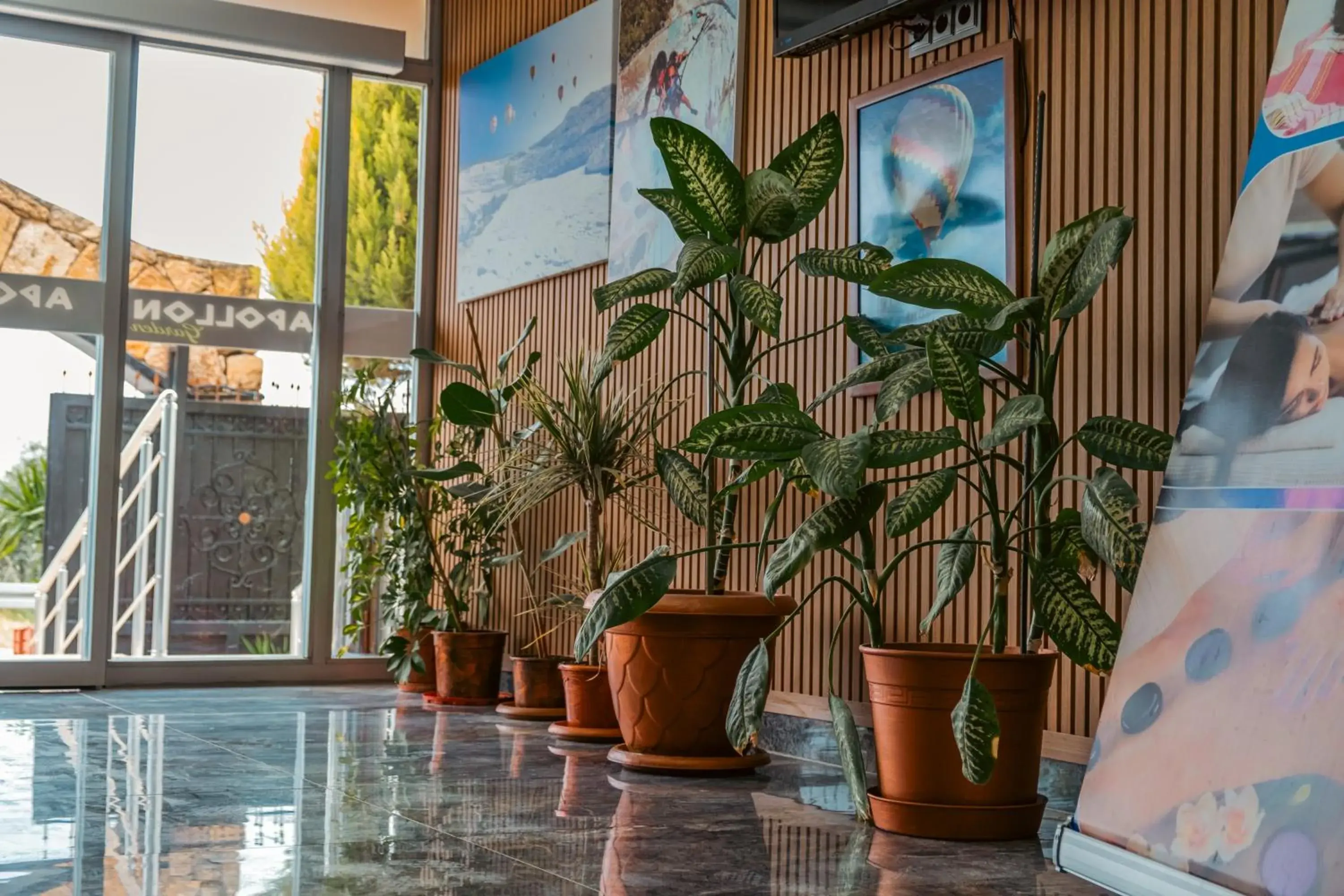 Lobby or reception in Apollon Garden Pamukkale Lobby or reception in Apollon Garden Pamukkale