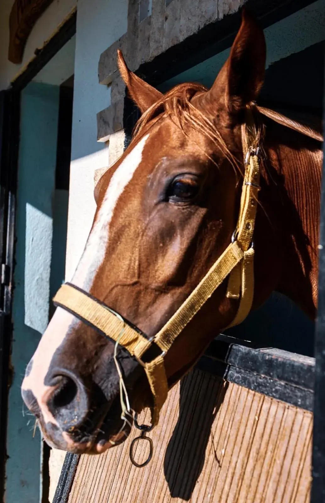 Activities in Apollon Garden Pamukkale Activities in Apollon Garden Pamukkale