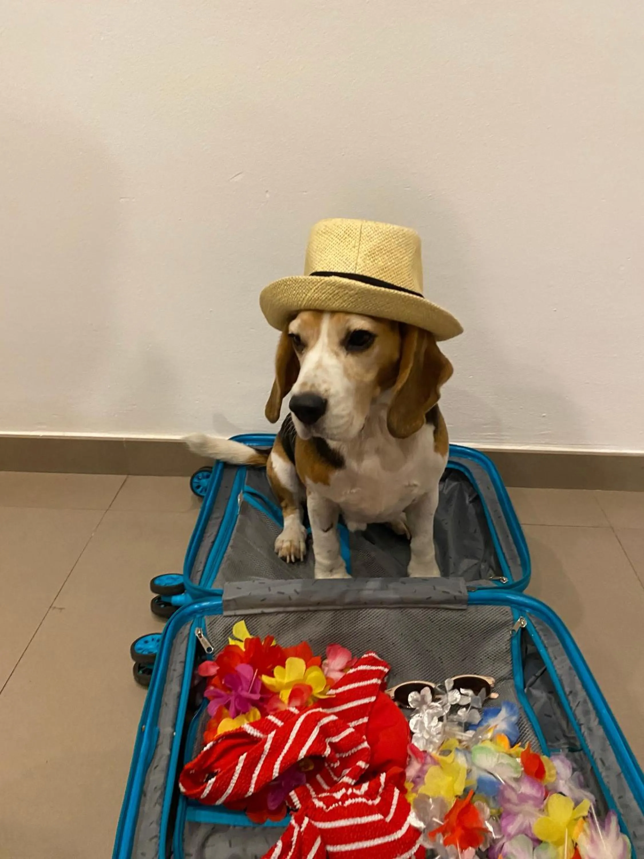 Property building in Hotel Astoria Park