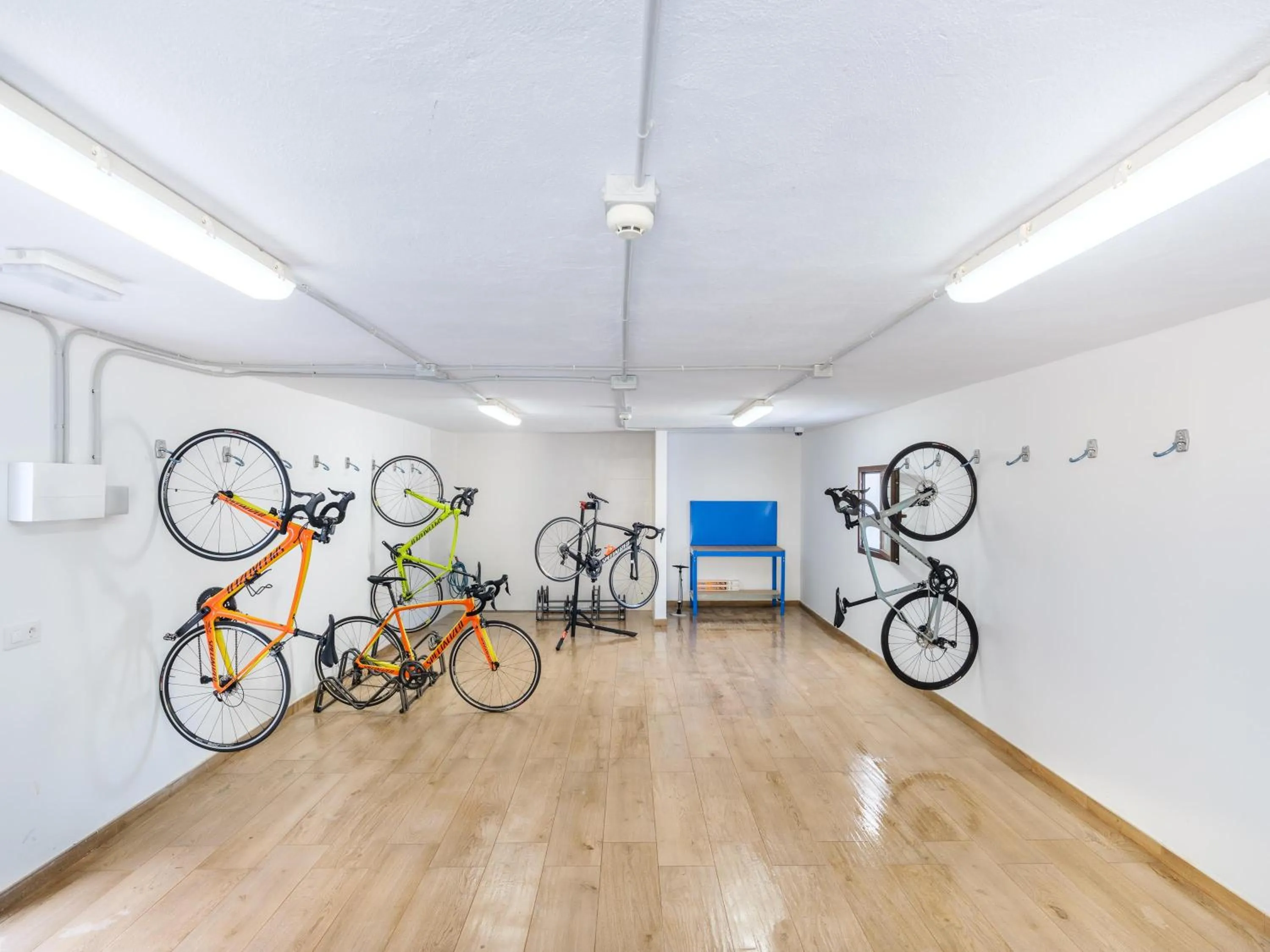 Activities in Tacande Portals