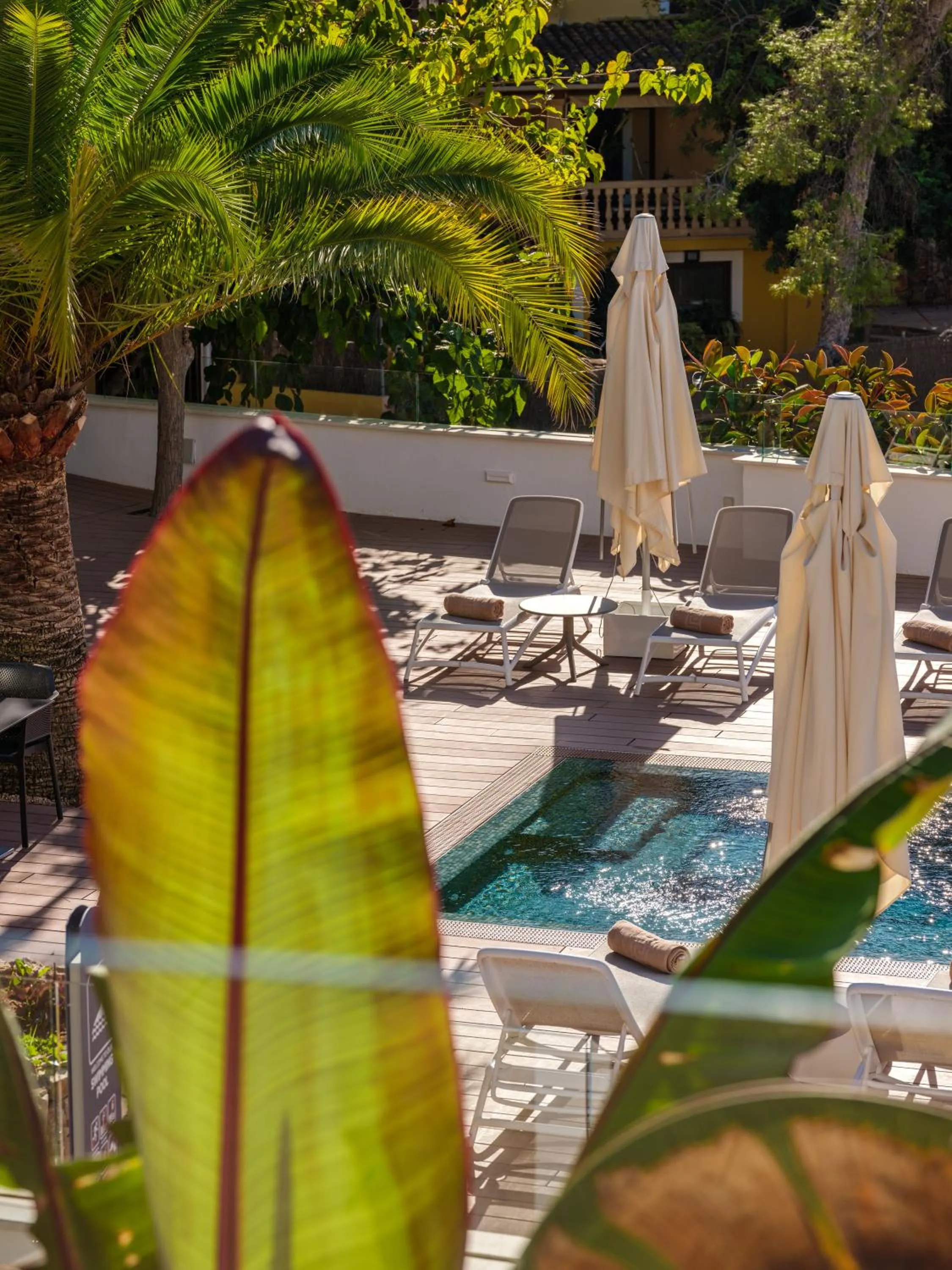 Swimming pool in Tacande Portals