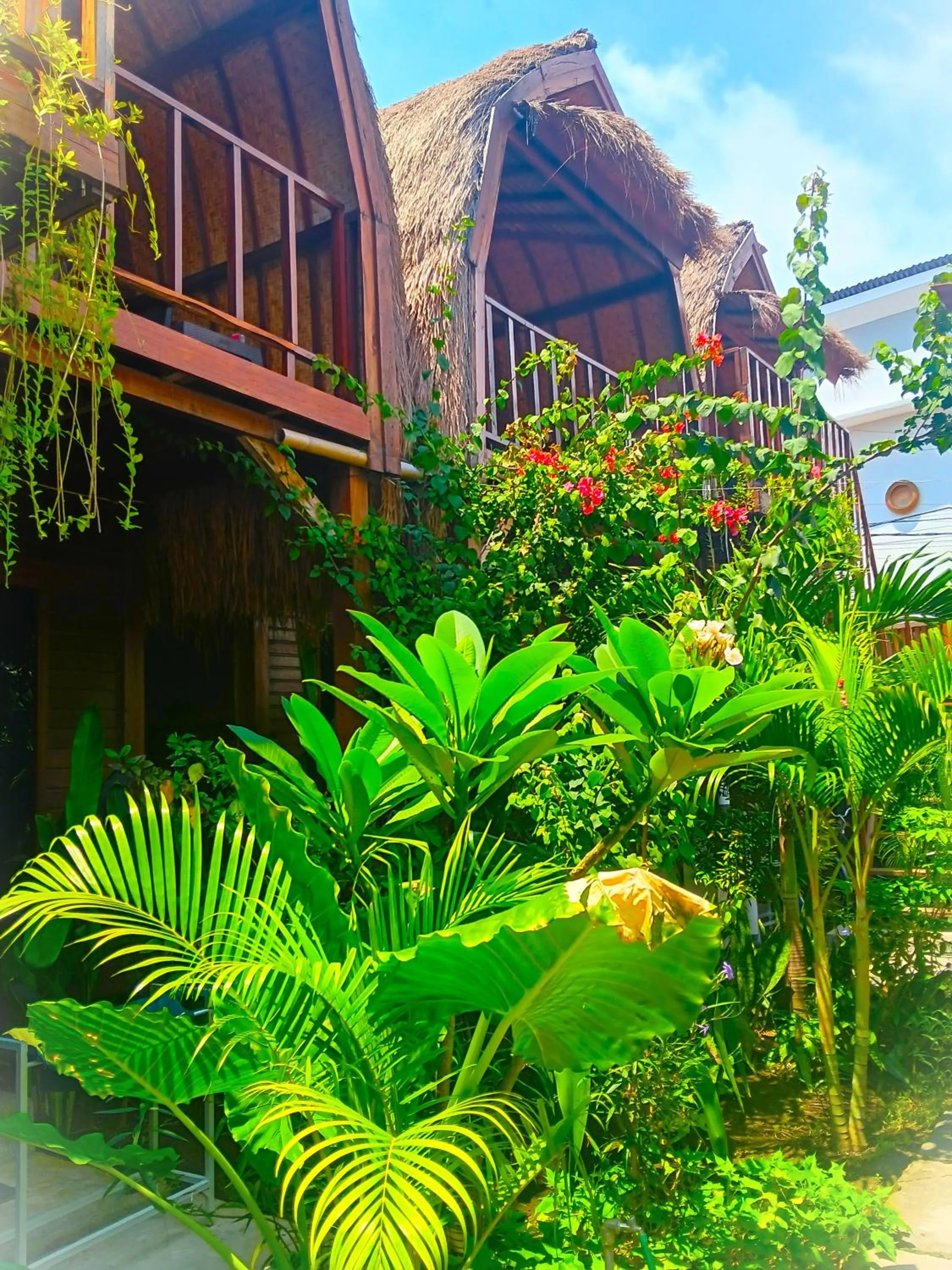 Garden in Good Vibes Bungalows