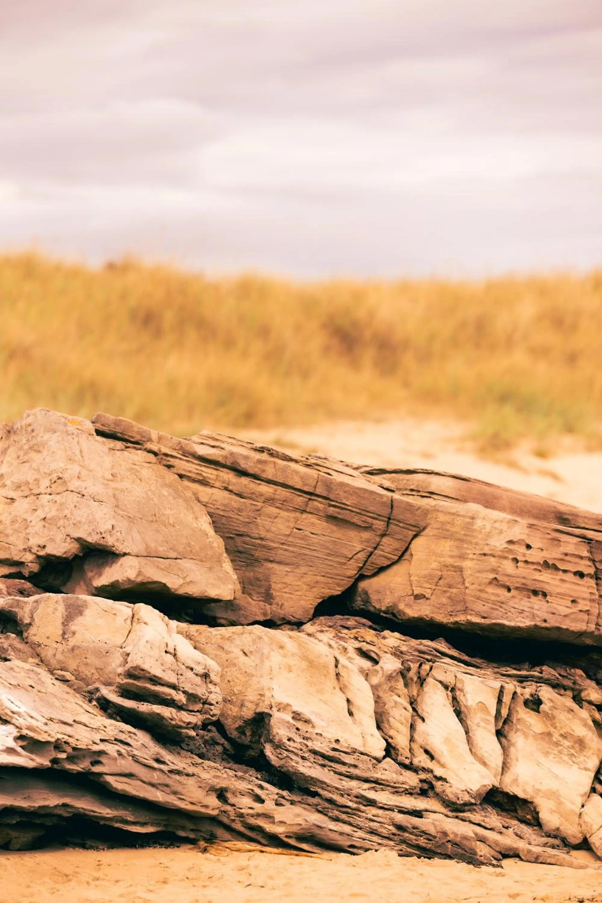 Natural landscape in Dornoch Station