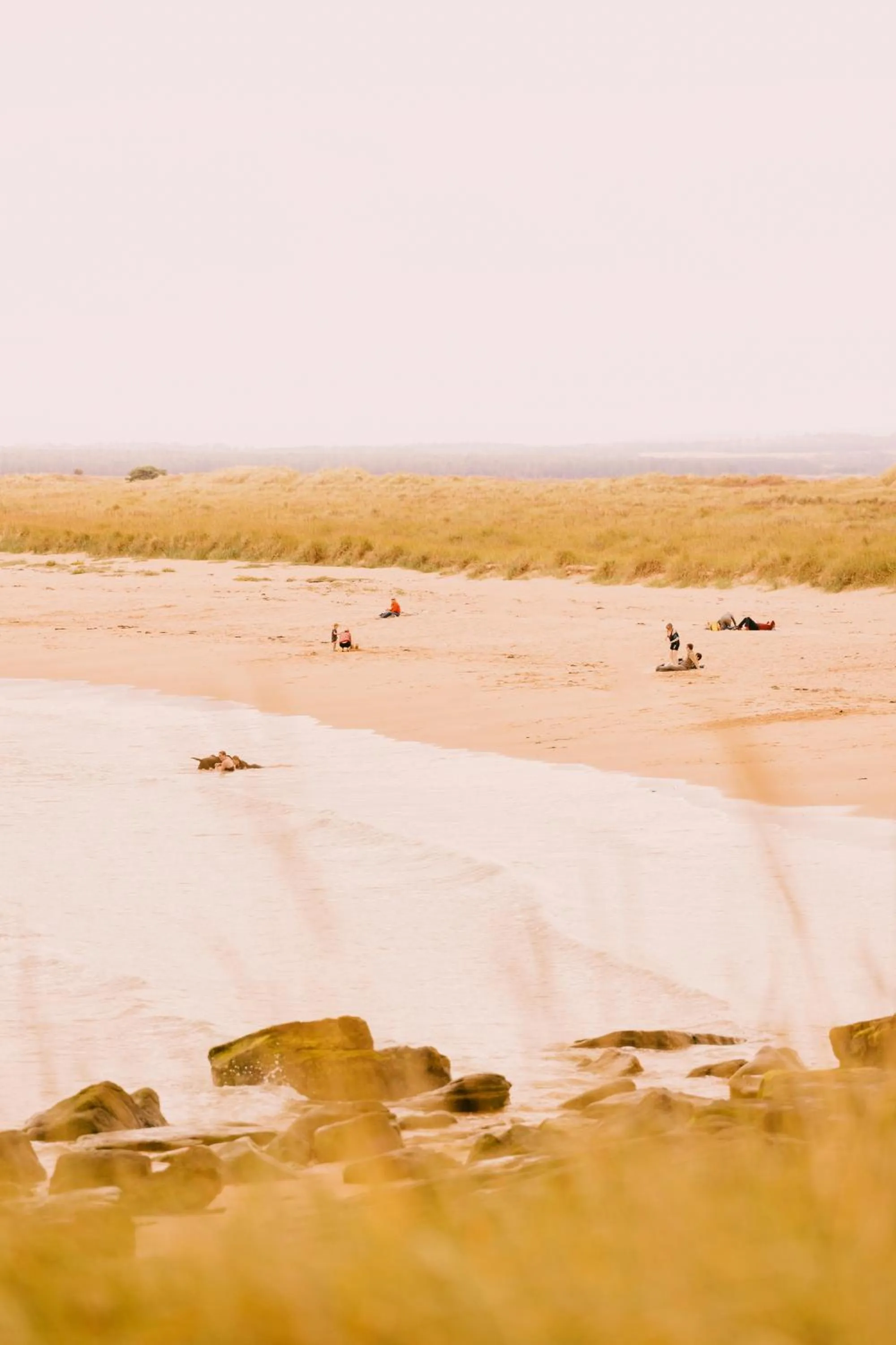 Beach in Dornoch Station