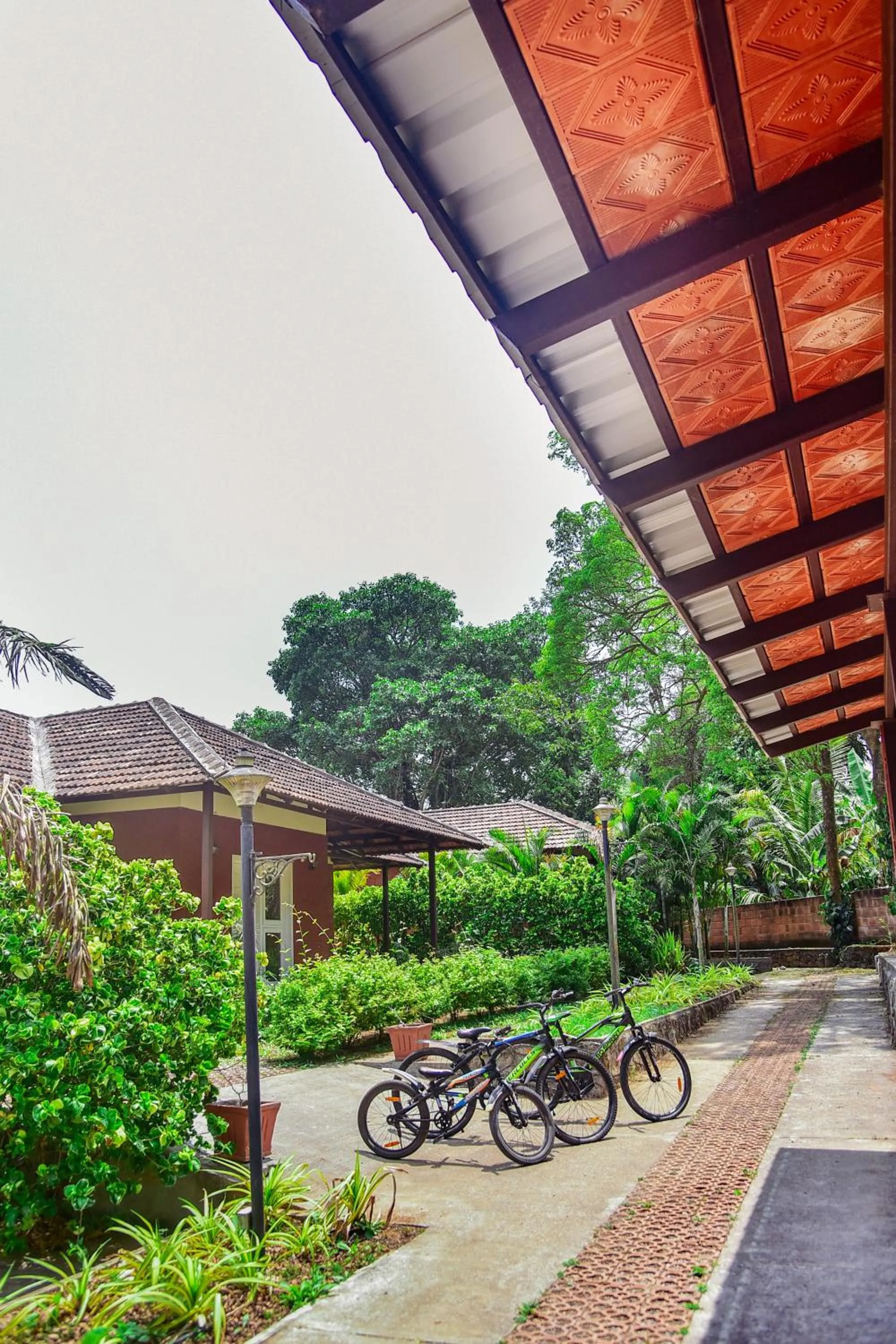 Activities in Clover Holiday Village