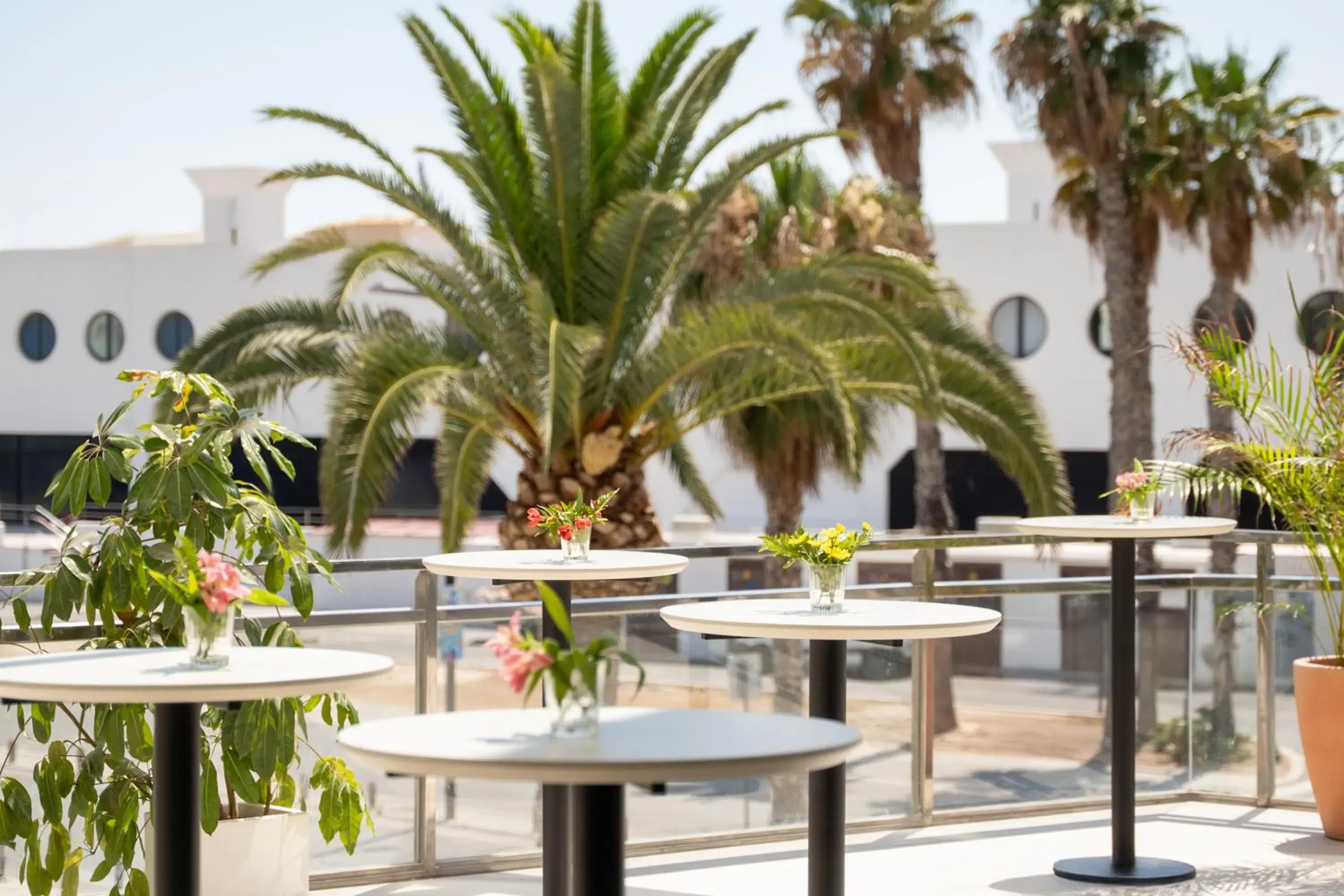 Property building in INNSiDE by Meliá Alicante Porta Maris Property building in INNSiDE by Meliá Alicante Porta Maris