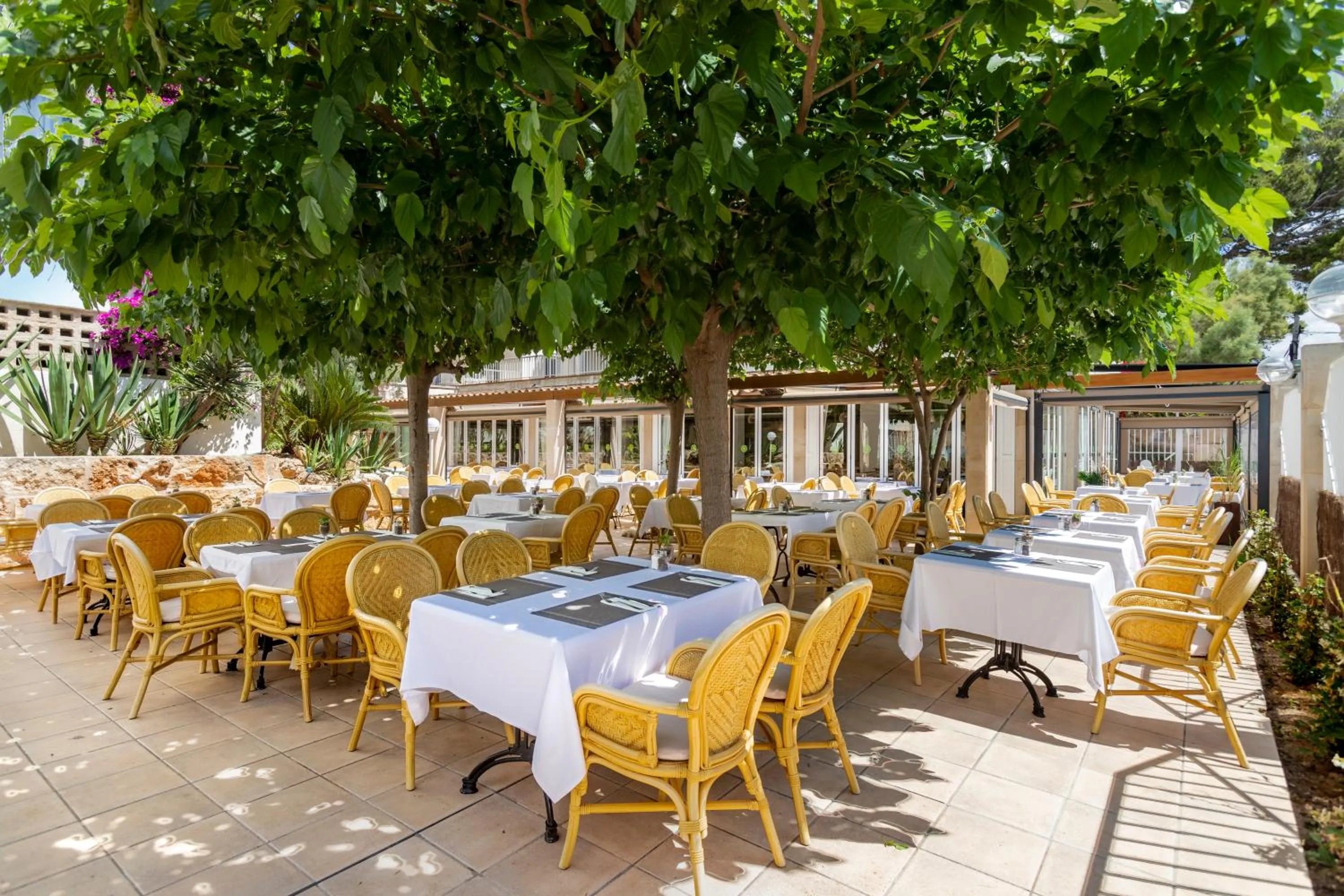 Garden in Houm Plaza Son Rigo