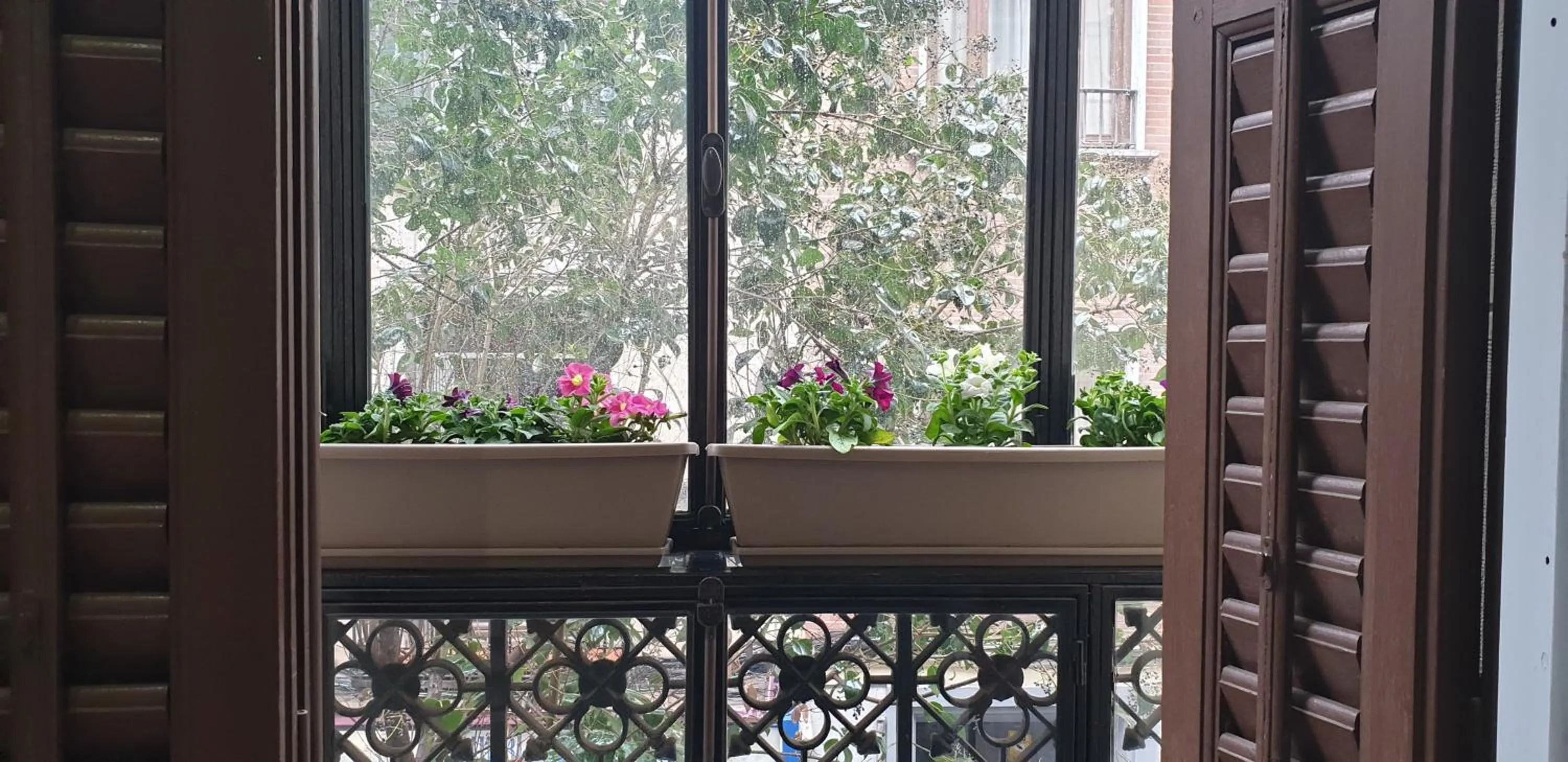 Balcony/Terrace in Hostal Las Fuentes