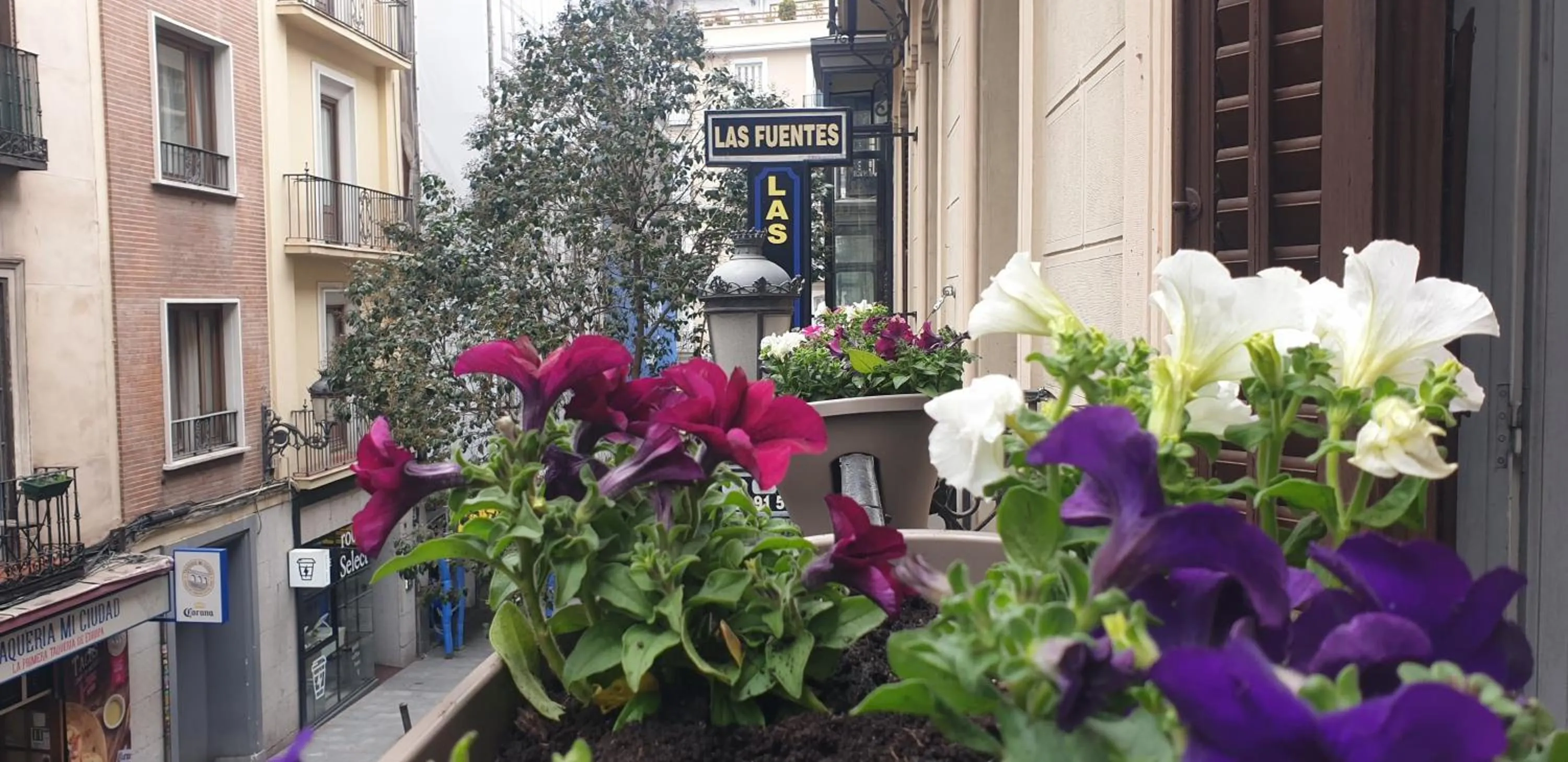 Balcony/Terrace in Hostal Las Fuentes