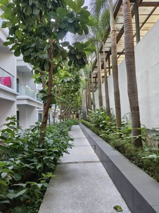 Garden in Rasa Sayang at The Loft Imago