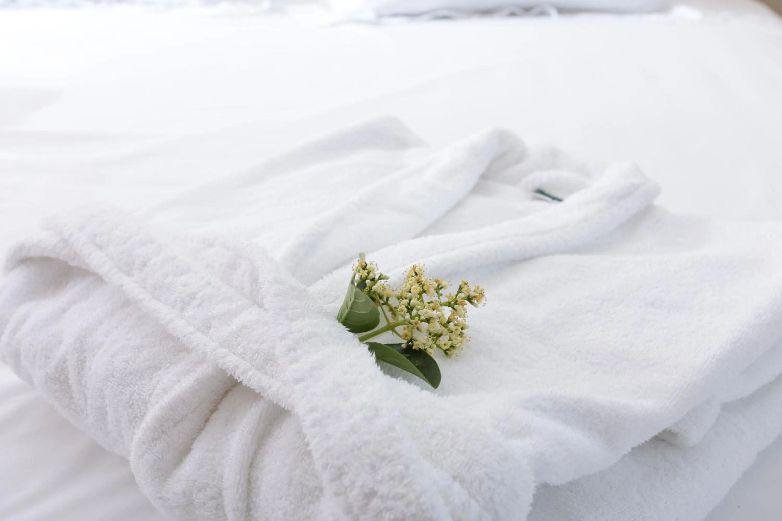 Bedroom, Bed in Chloe Luxury Hotel