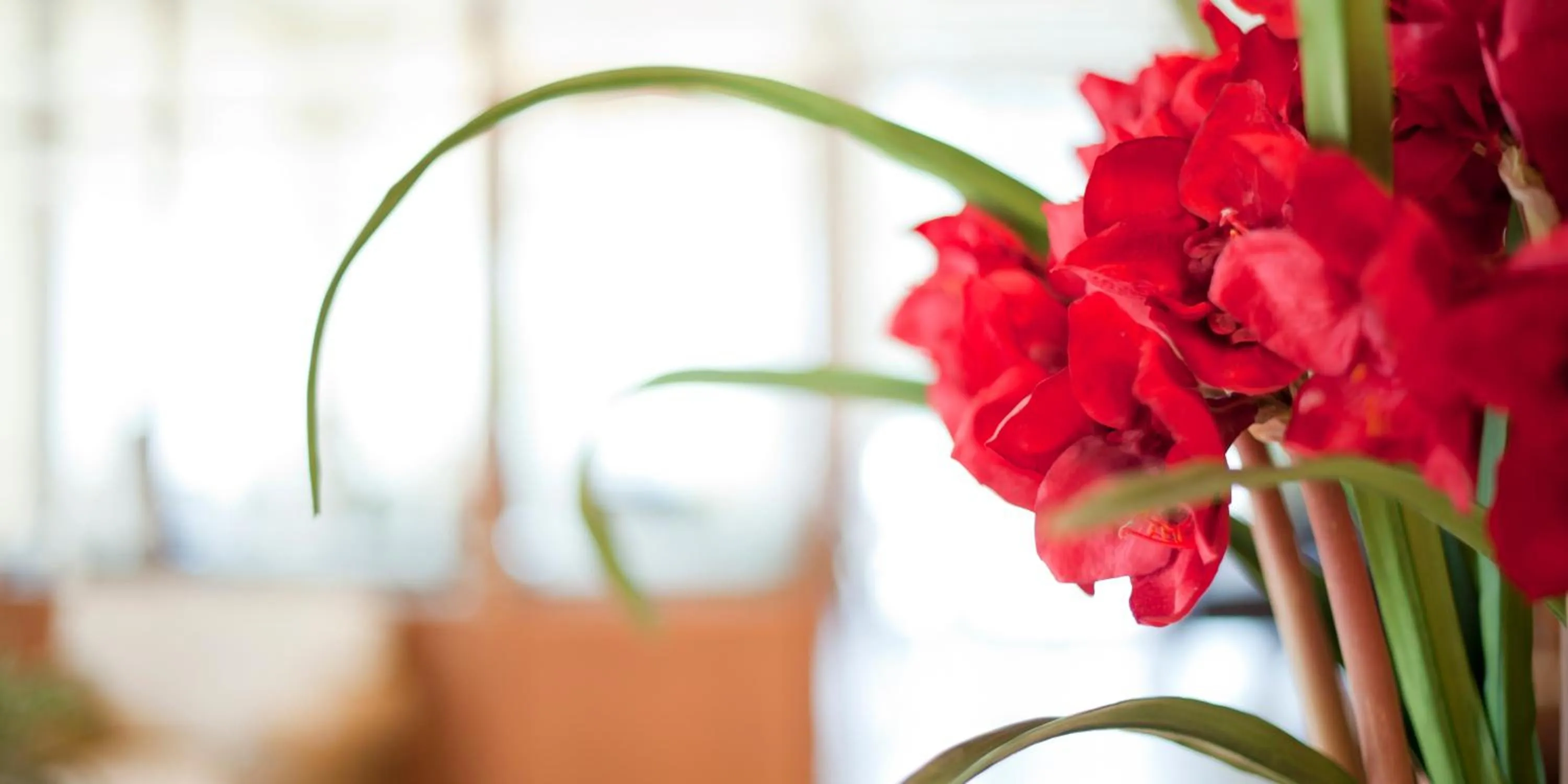 Lobby or reception in Chloe Luxury Hotel