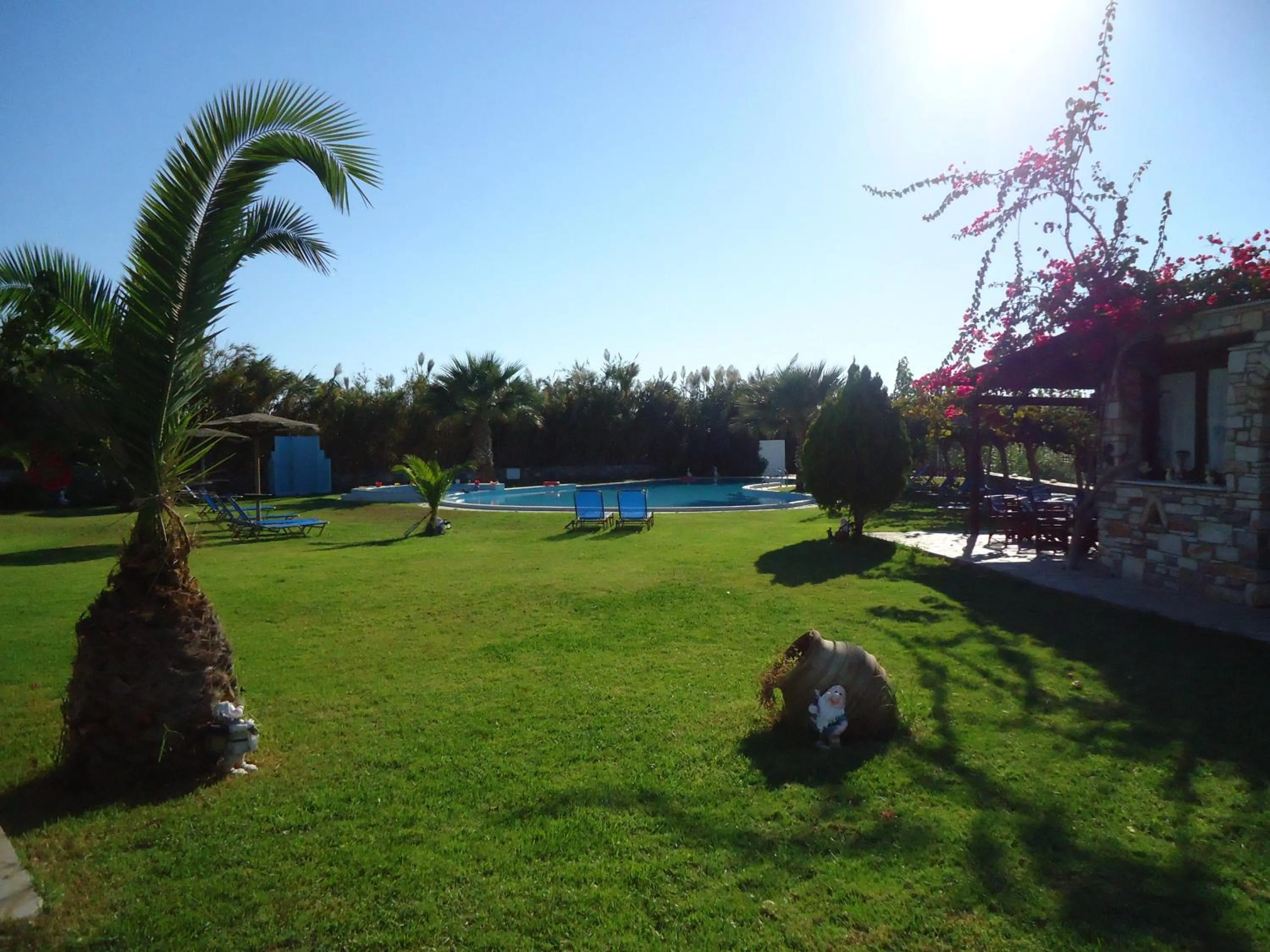 Swimming pool in Colosseo Star