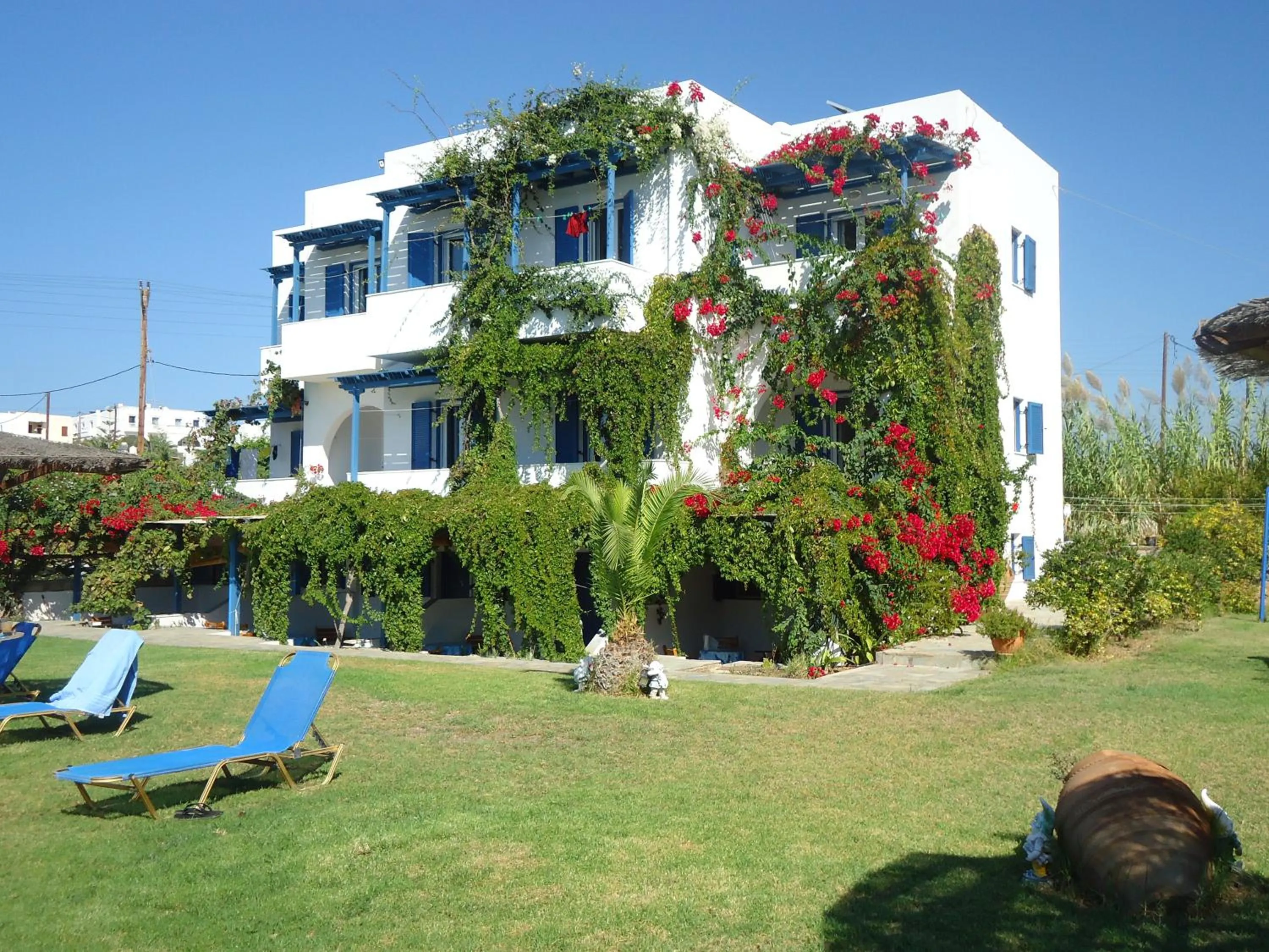 Facade/entrance in Colosseo Star
