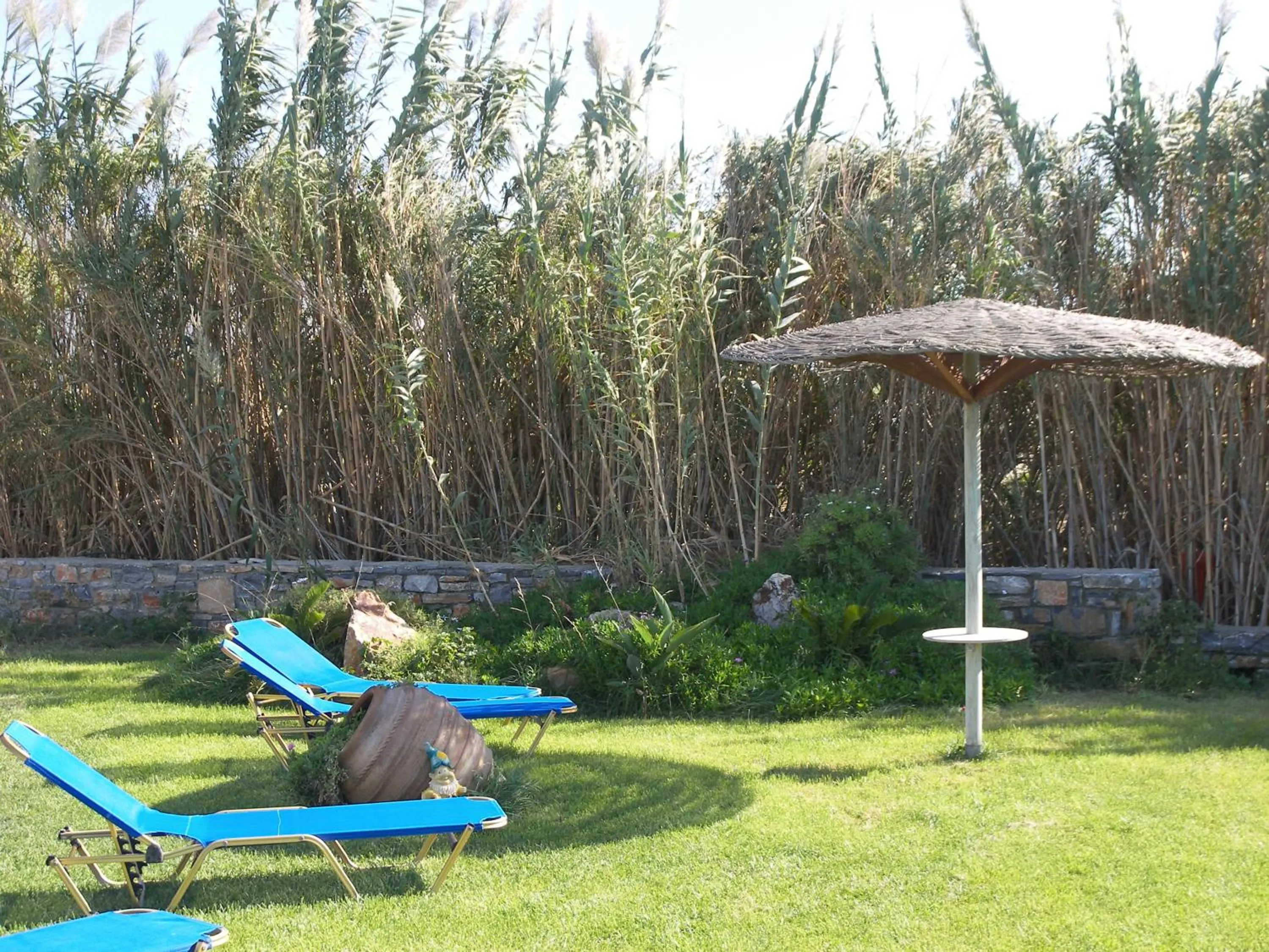 Activities in Colosseo Star