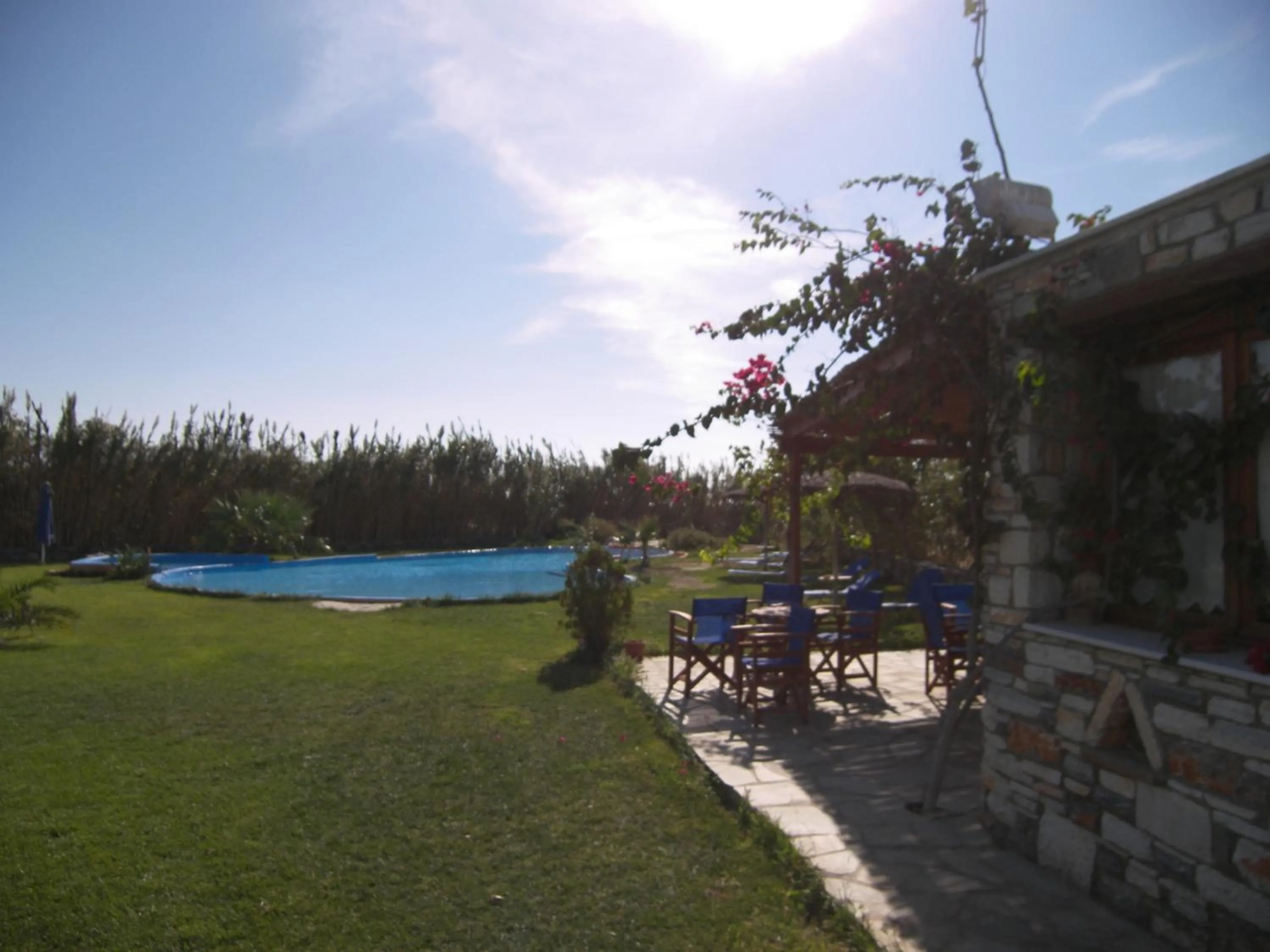 Swimming pool in Colosseo Star