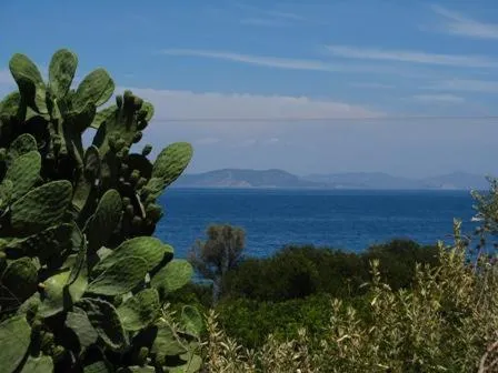Natural landscape in Hotel Heleni Apartments