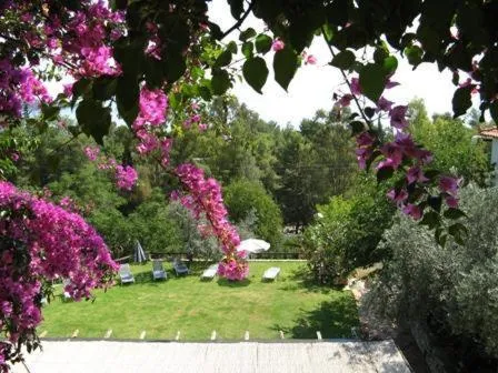 Garden view in Hotel Heleni Apartments