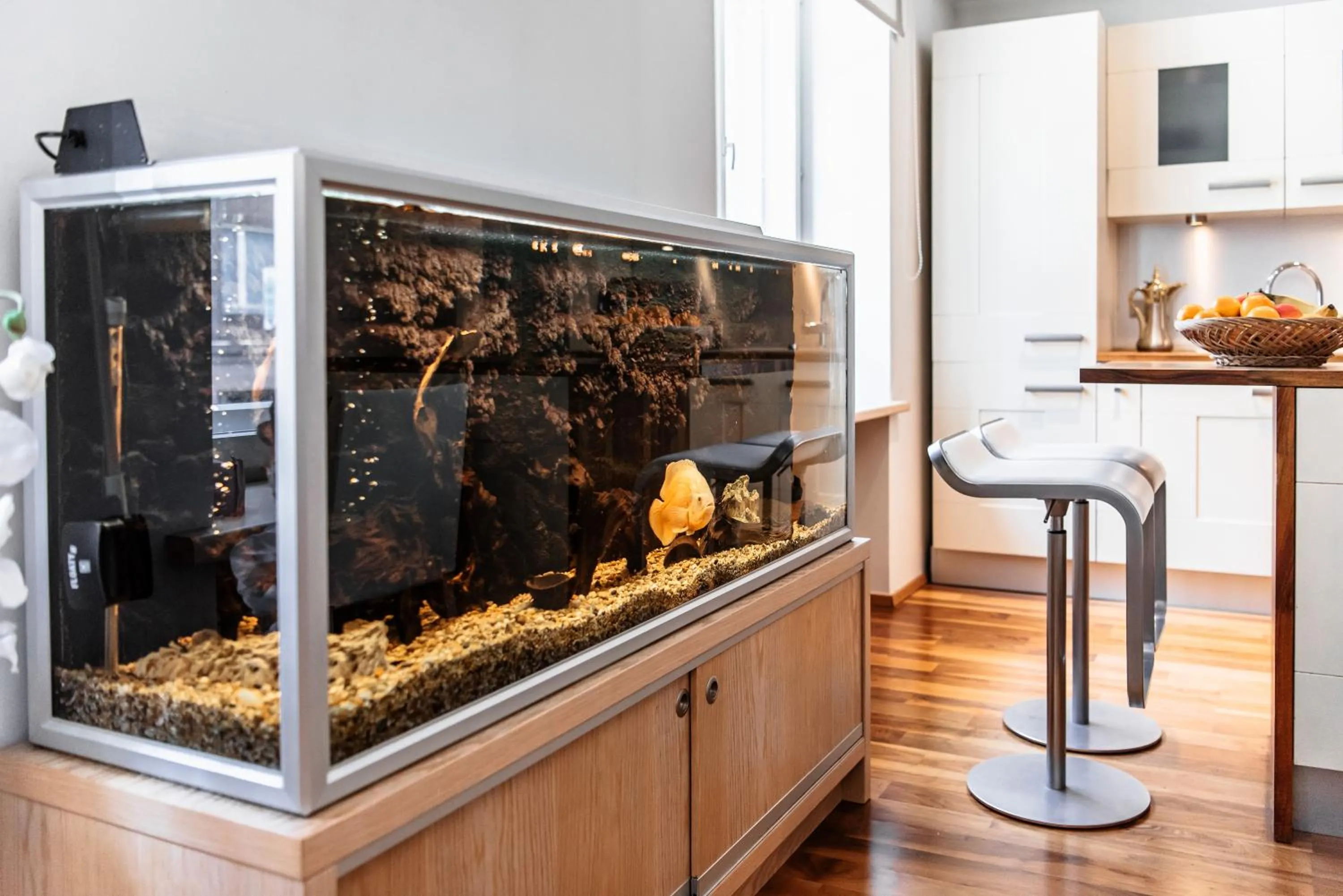 Kitchen or kitchenette in AirHome - Golden Fish