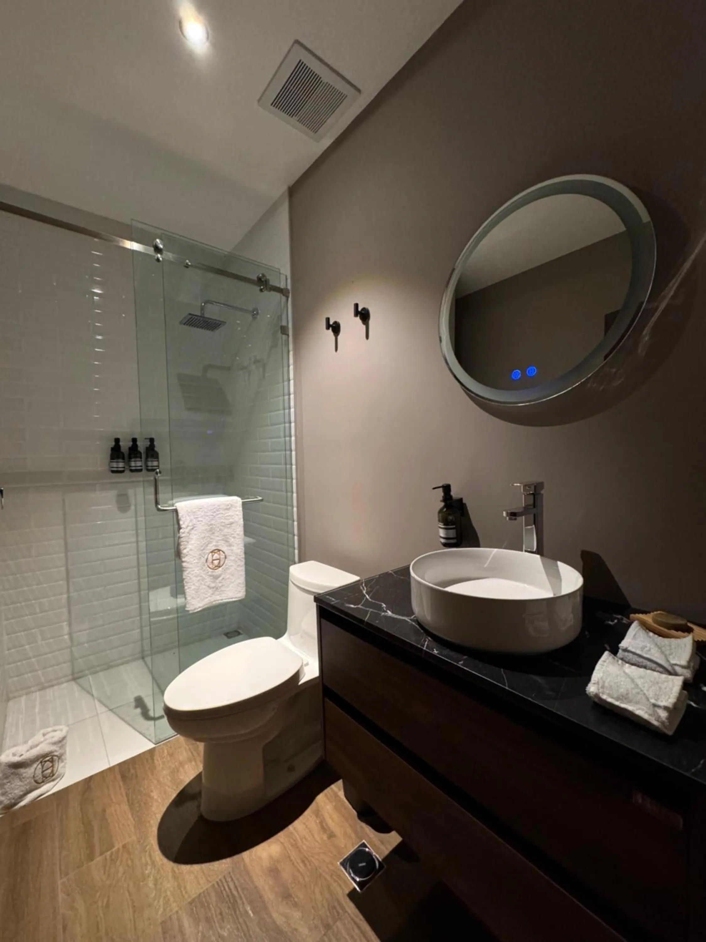 Shower in AMAE21 Lofts