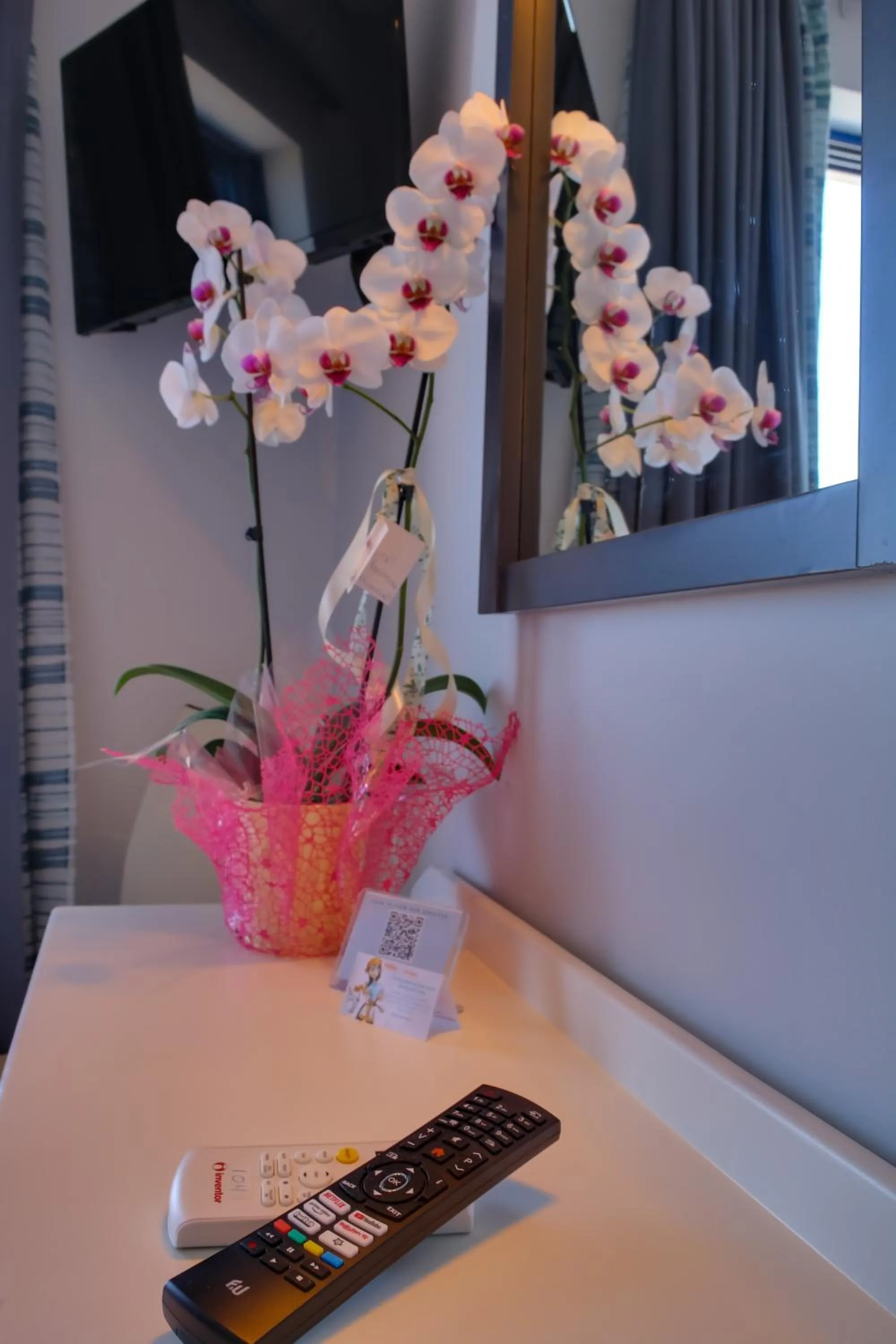 TV and multimedia in Alexis Hotel