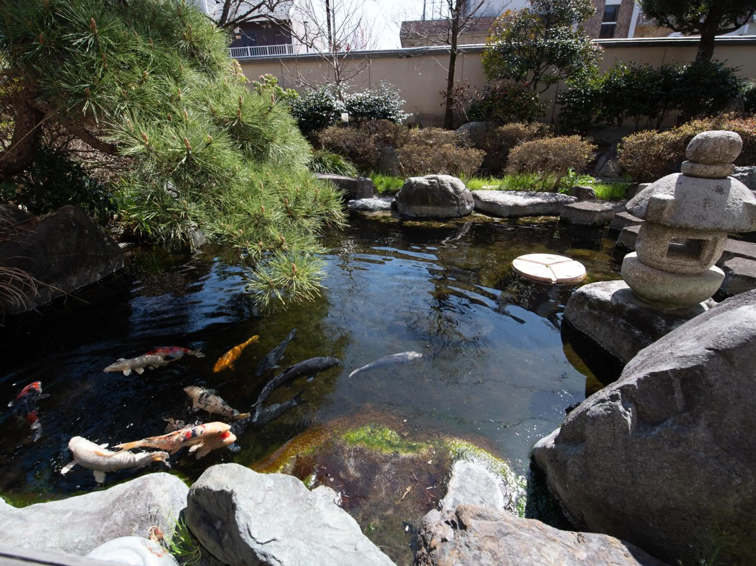 Day in Chateraise Lodge Kasugai