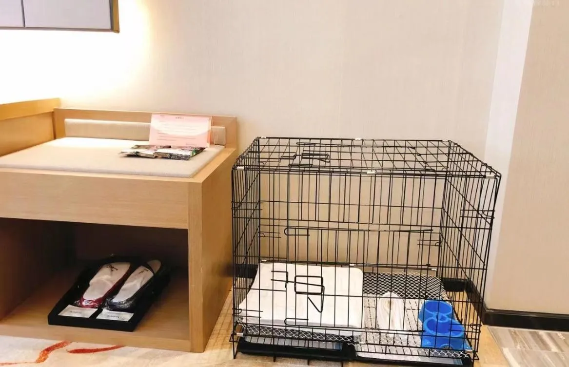 Qingyuan Argyle Hotel