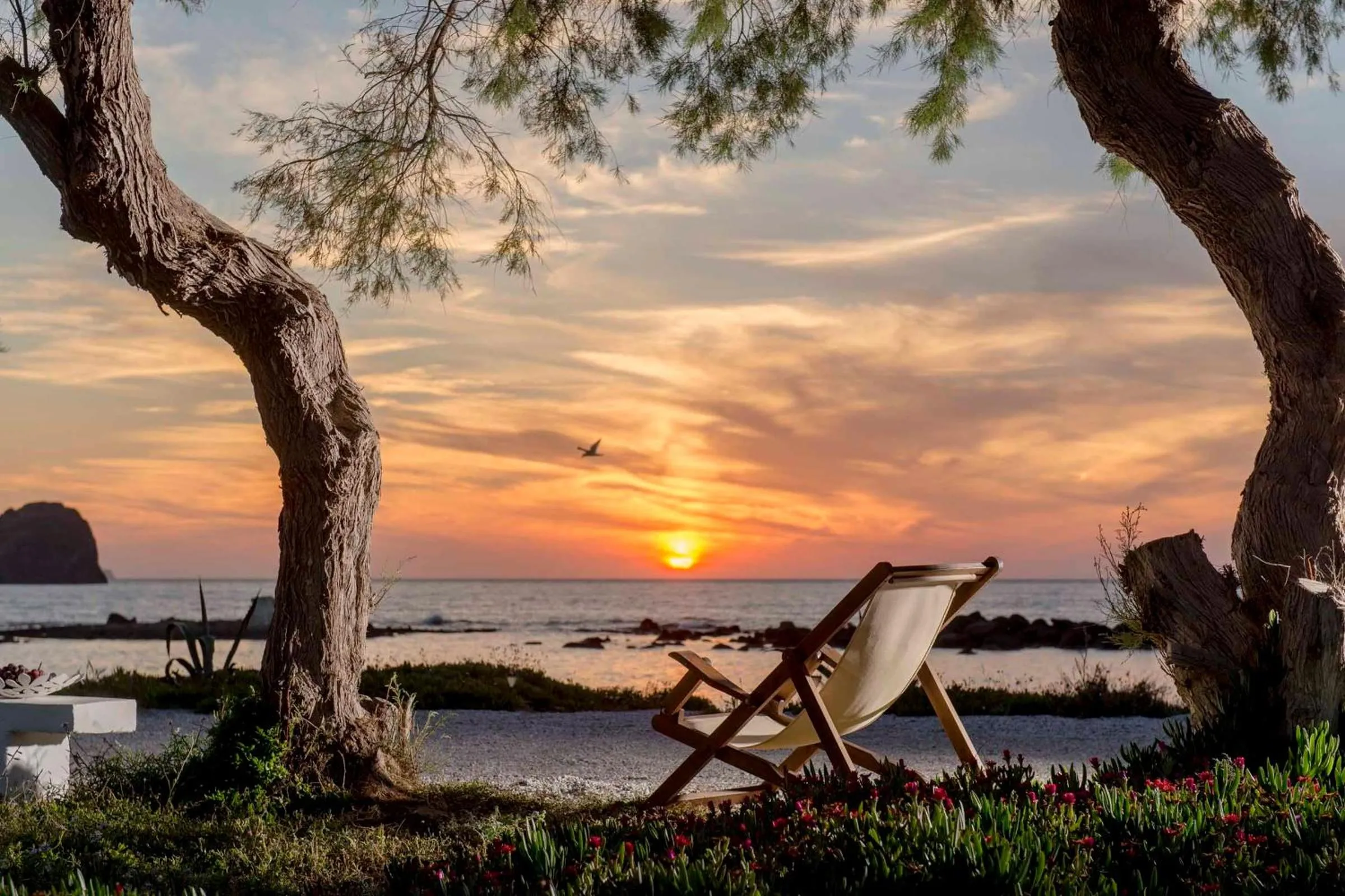 Garden in Nefeli Sunset Studios