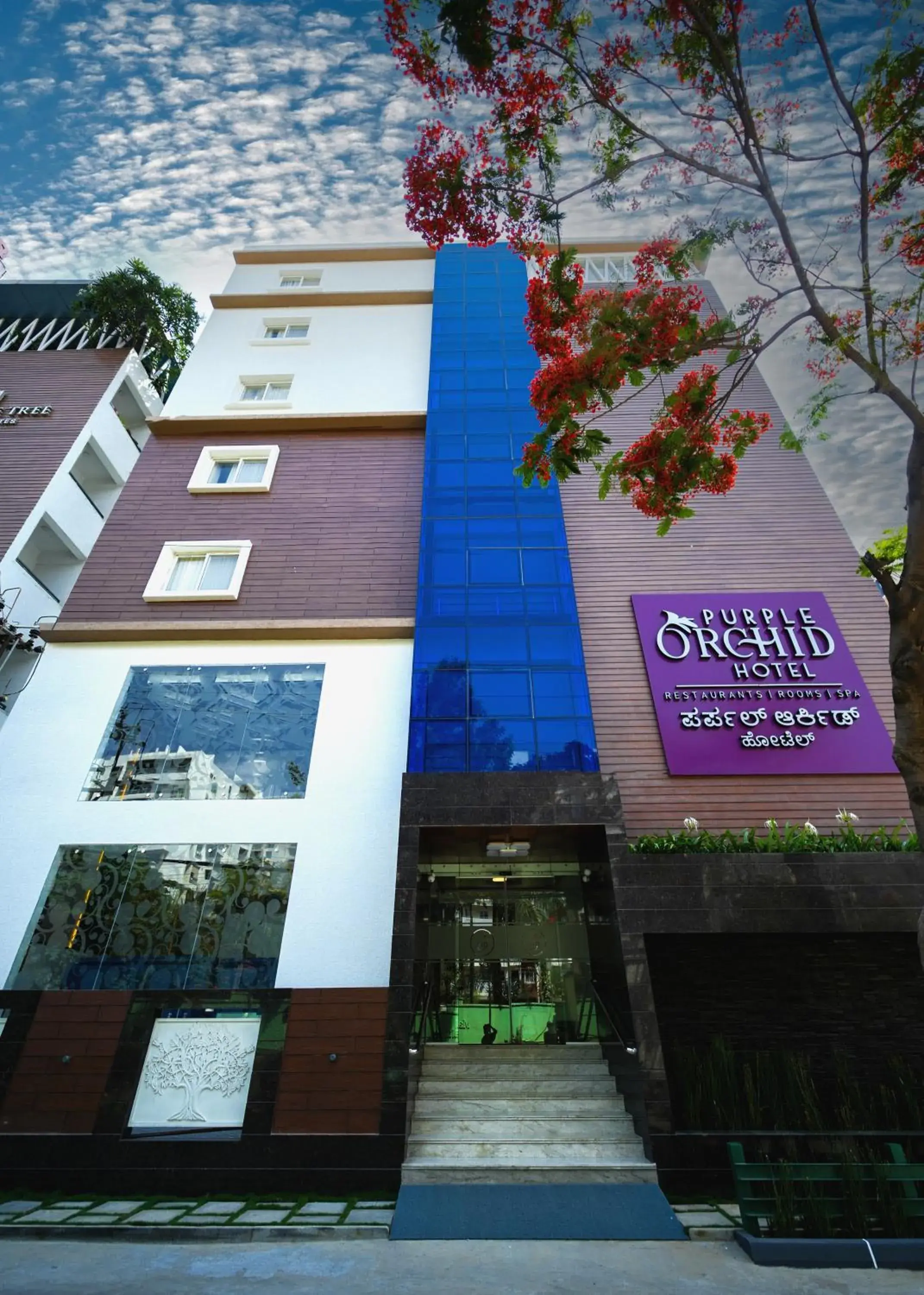 Facade/entrance in Zip By Spree Hotels PurpleOrchid Whitefield Facade/entrance in Zip By Spree Hotels PurpleOrchid Whitefield