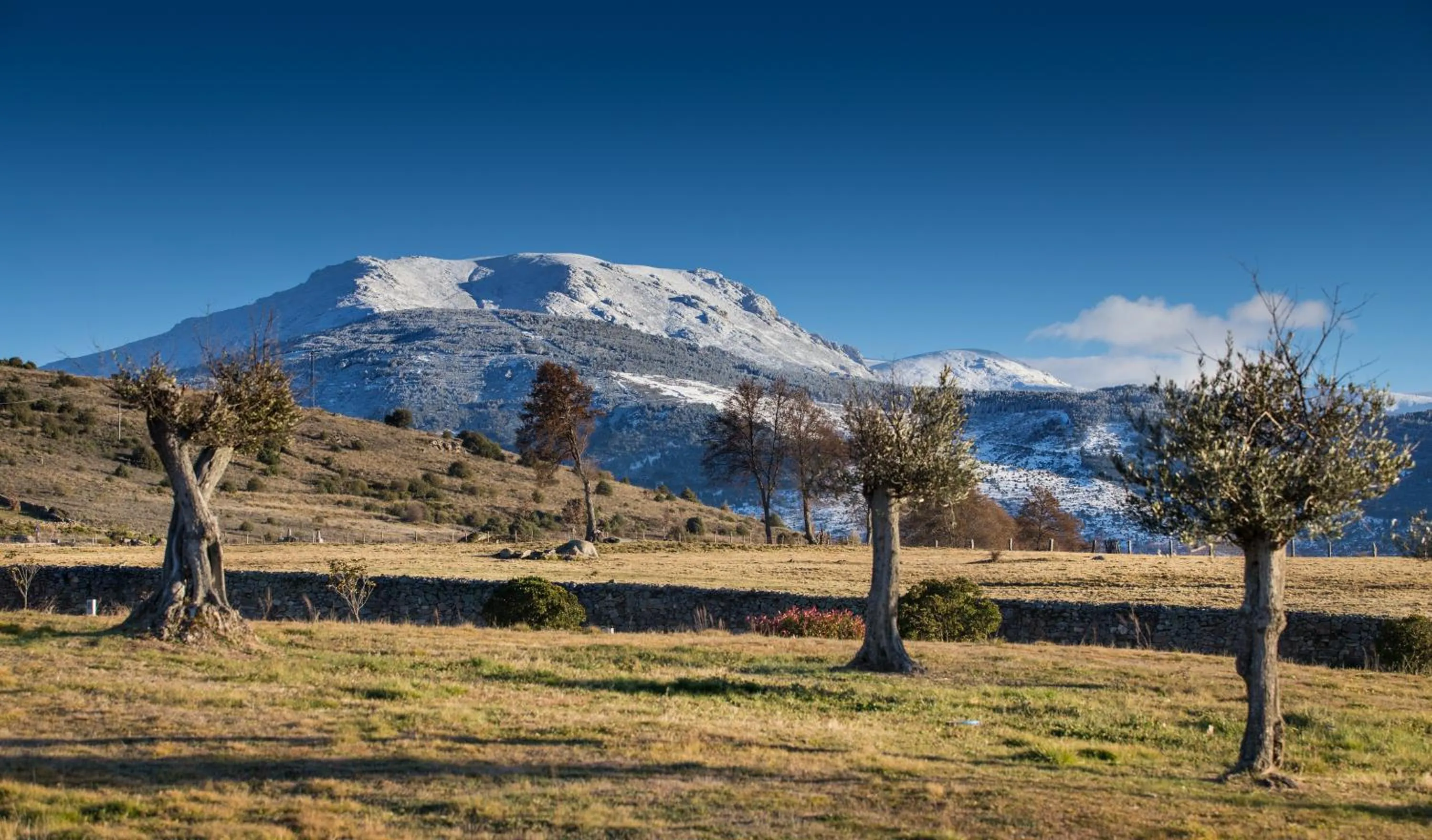 Garden view in Izan Puerta de Gredos
