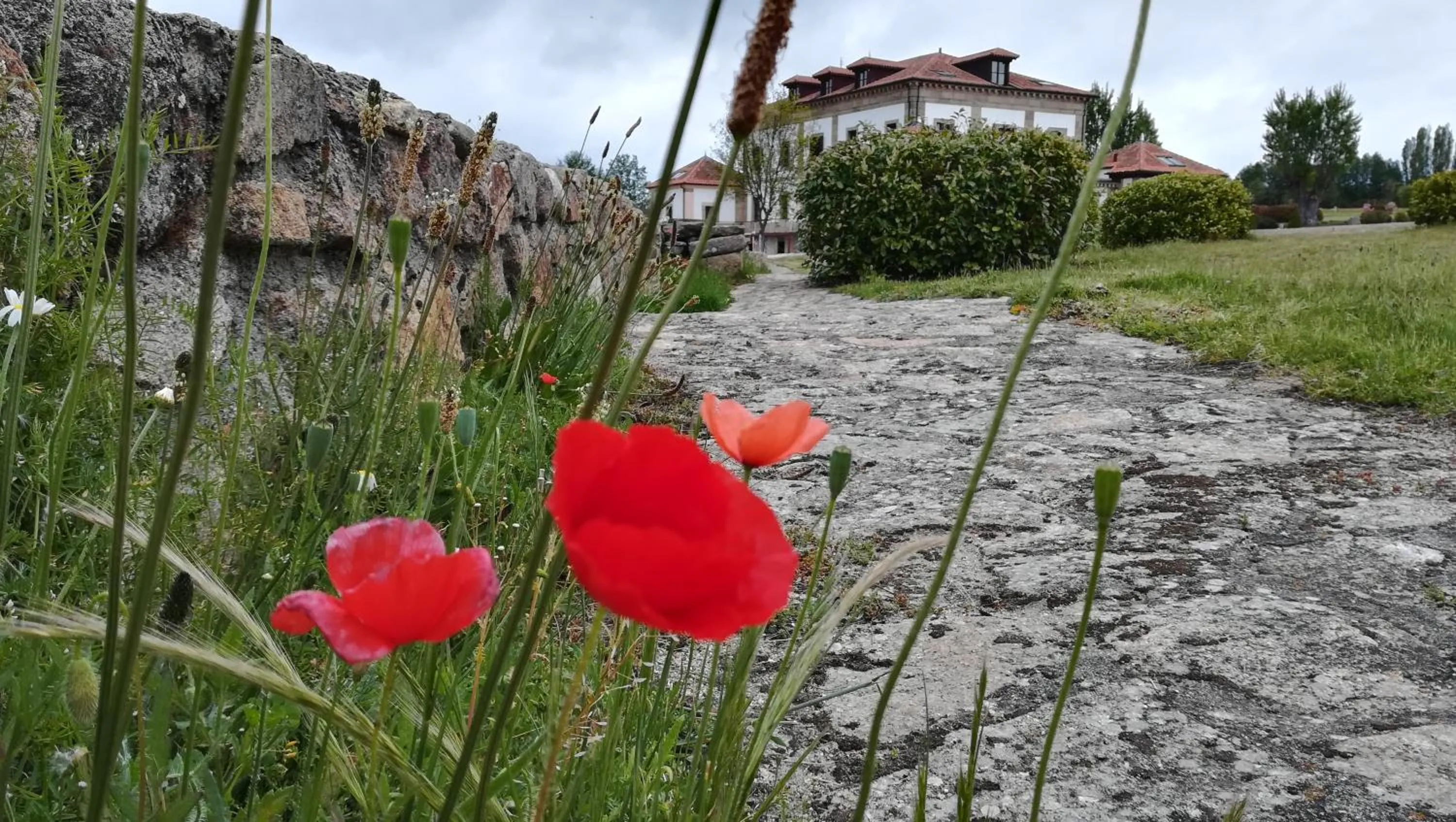 Facade/entrance in Izan Puerta de Gredos
