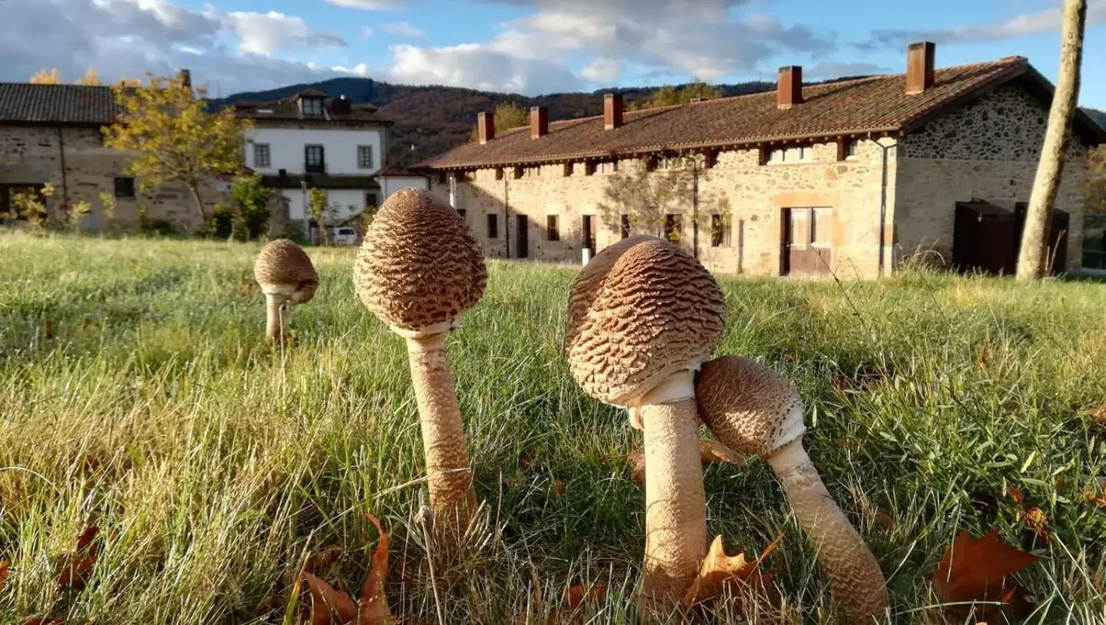 Property building in Izan Puerta de Gredos Property building in Izan Puerta de Gredos