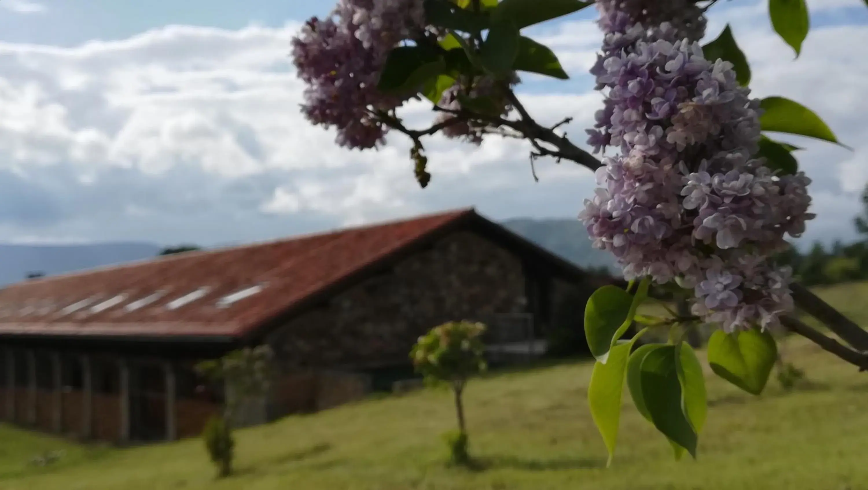 Property building in Izan Puerta de Gredos Property building in Izan Puerta de Gredos