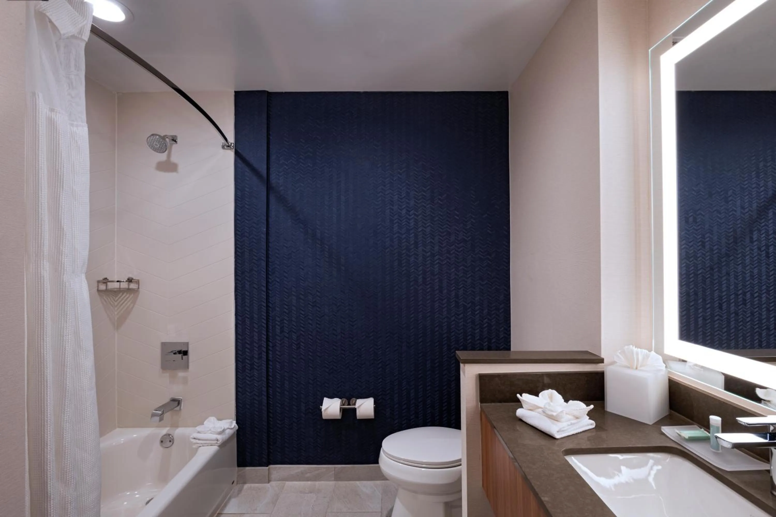 Bathroom in Fairfield Inn & Suites Austin Downtown