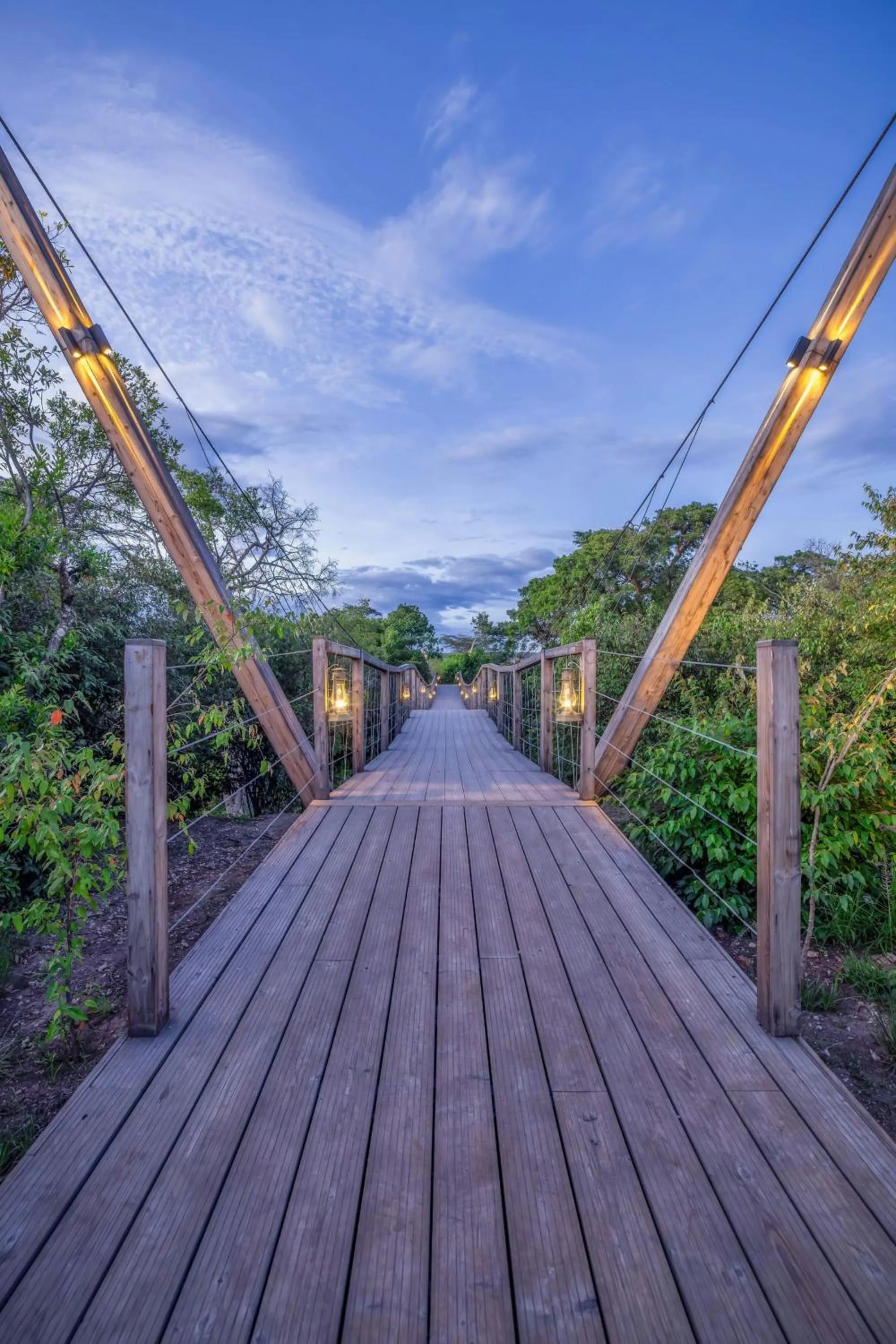 View (from property/room) in JW Marriott Masai Mara Lodge