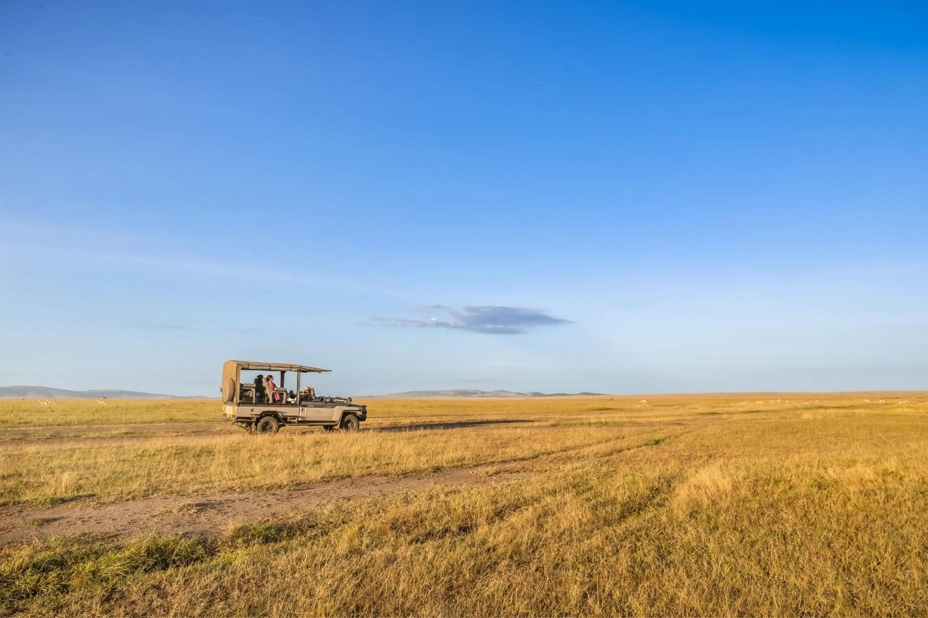 Other in JW Marriott Masai Mara Lodge